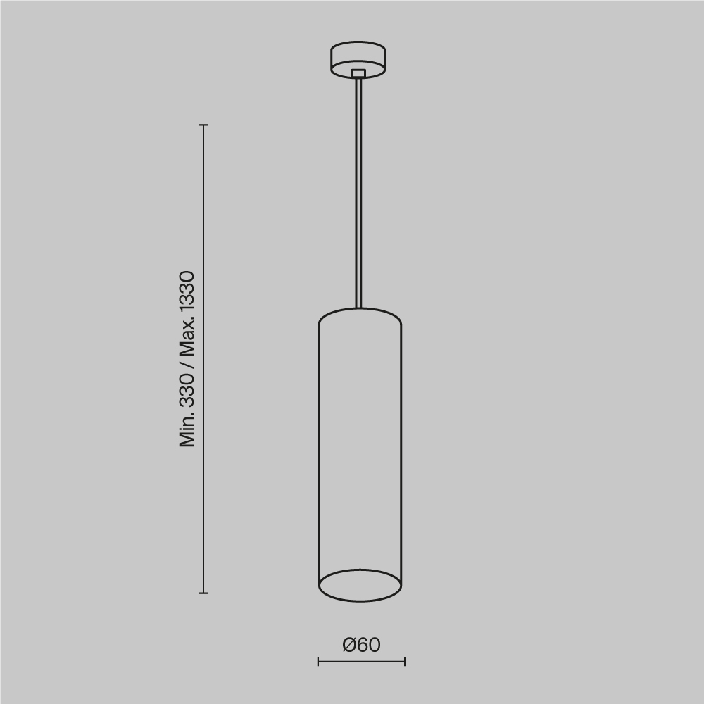 Картинка Подвесной светильник Technical P075PL-01MG