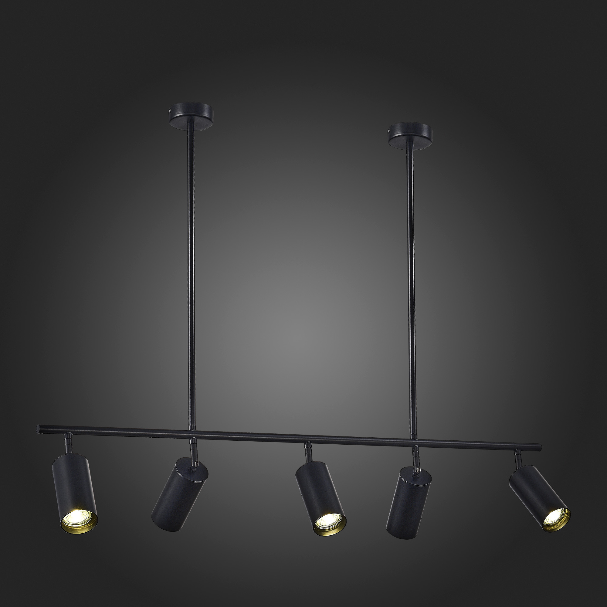 Дополнительная картинка SL1206.403.05 Светильник подвесной ST-Luce /  *W