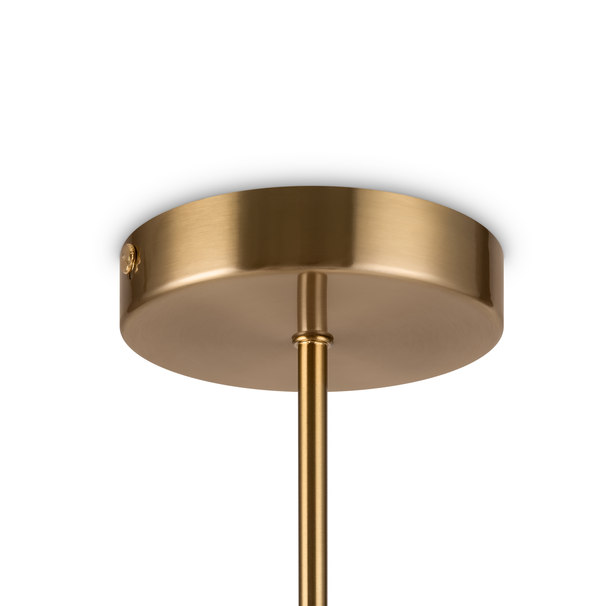 Дополнительная картинка Подвесной светильник Freya FR5199PL-03BS