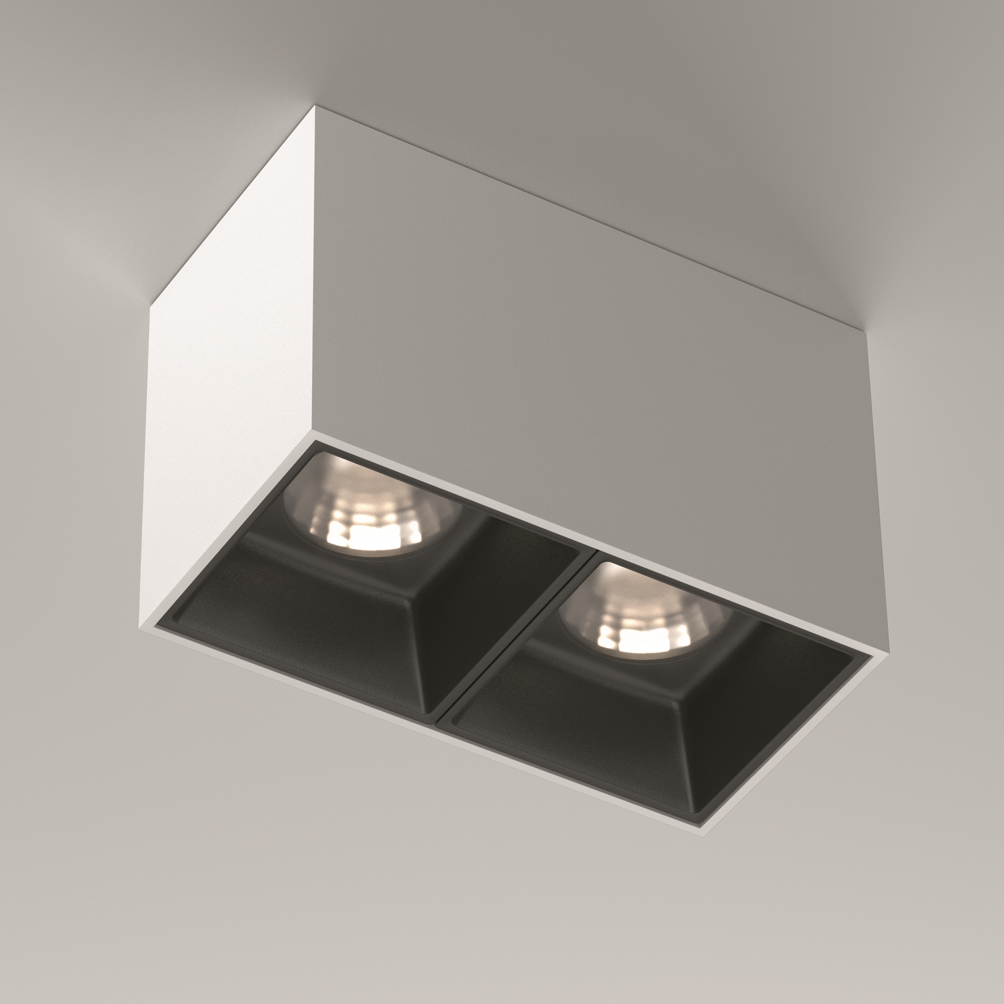 Картинка Потолочный светильник Technical C065CL-02-L12W4K-W