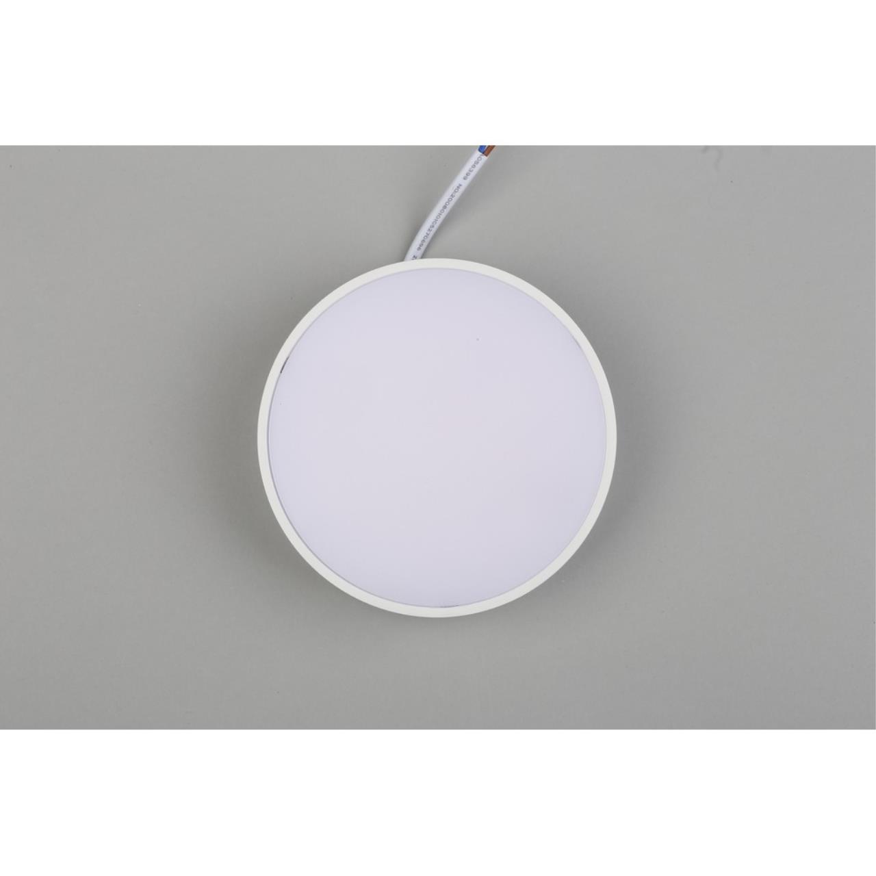 Картинка Потолочный светодиодный светильник Aployt Evon APL.0114.09.12