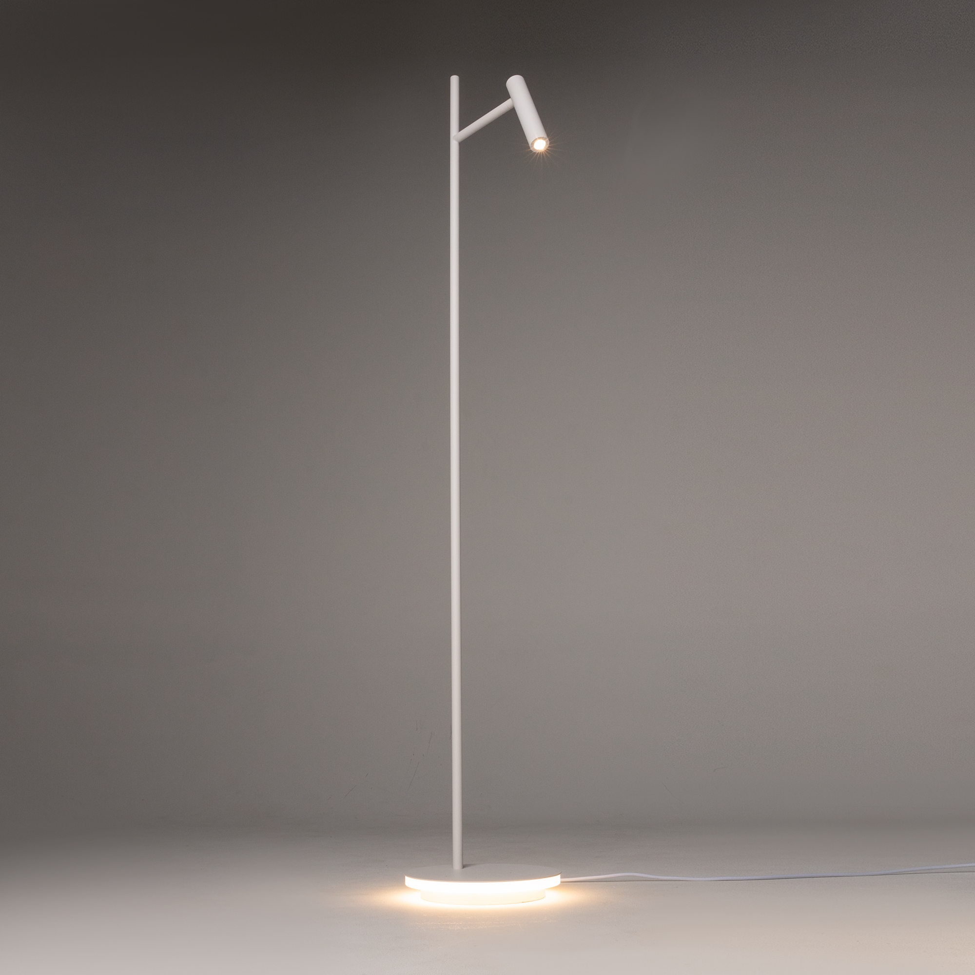 Картинка Торшер Maytoni Estudo Z010FL-L8W3K