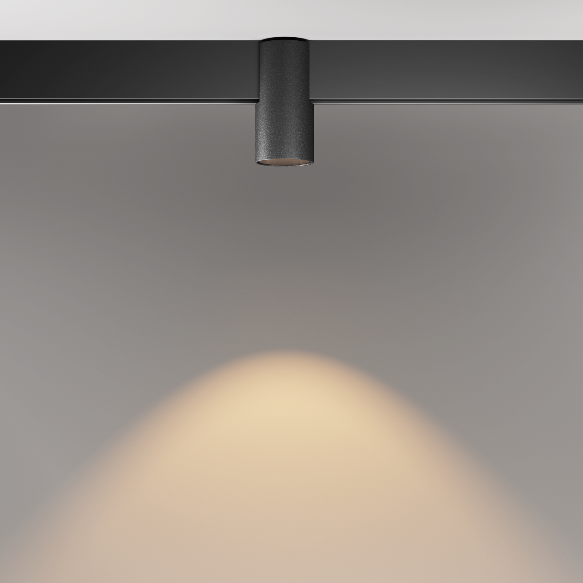 Дополнительная картинка Трековый светильник Technical TR122-2-7W3K-B