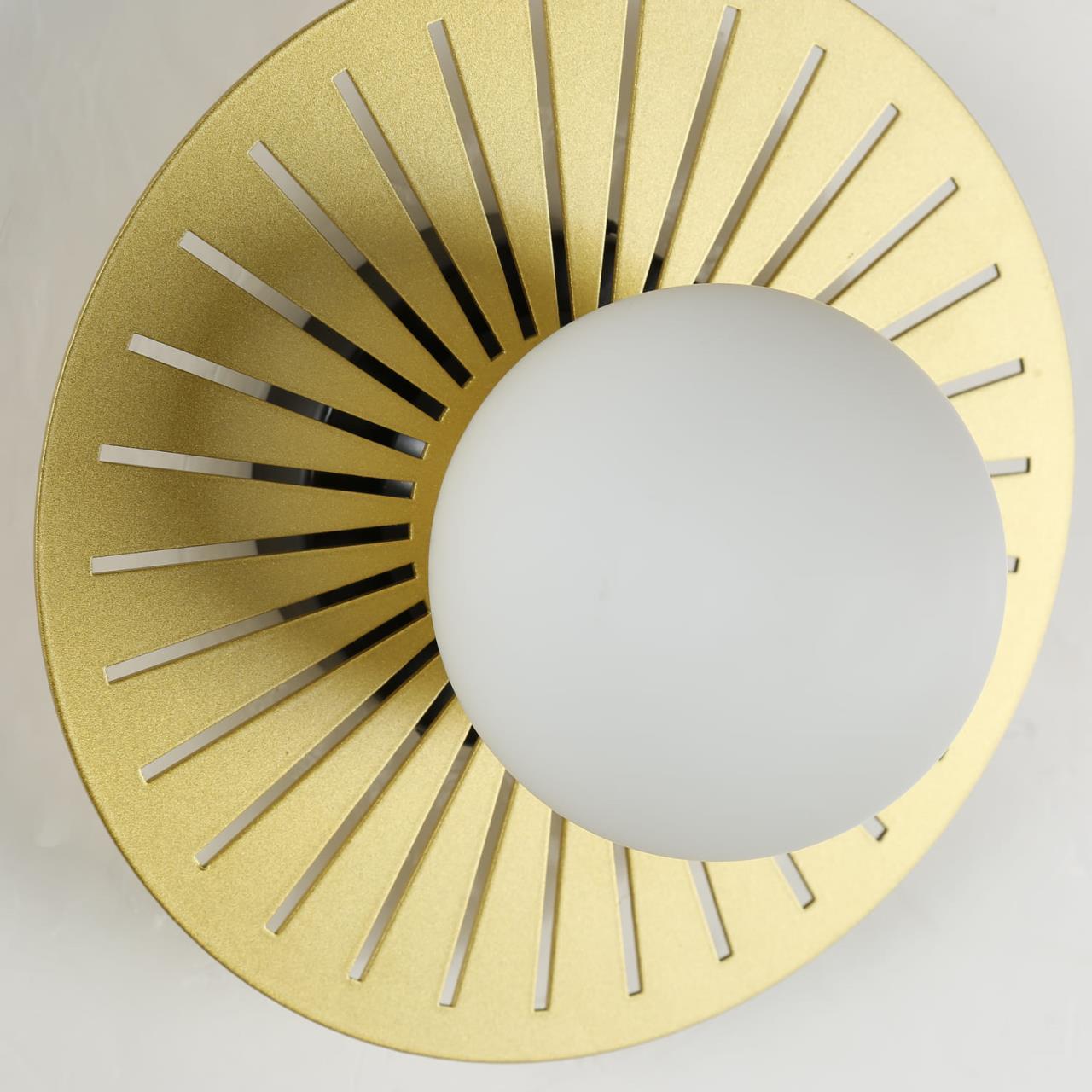 Картинка Настенный светильник Favourite Sonnenblume 2356-1W