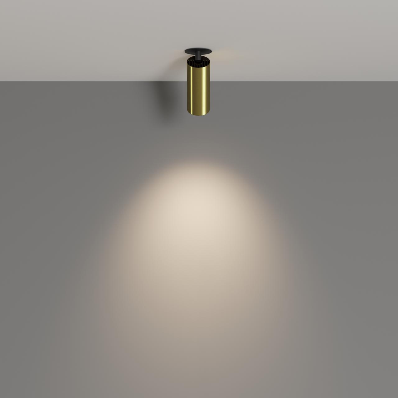Дополнительная картинка Потолочный светильник Technical C053CL-L12W4K-W-BS