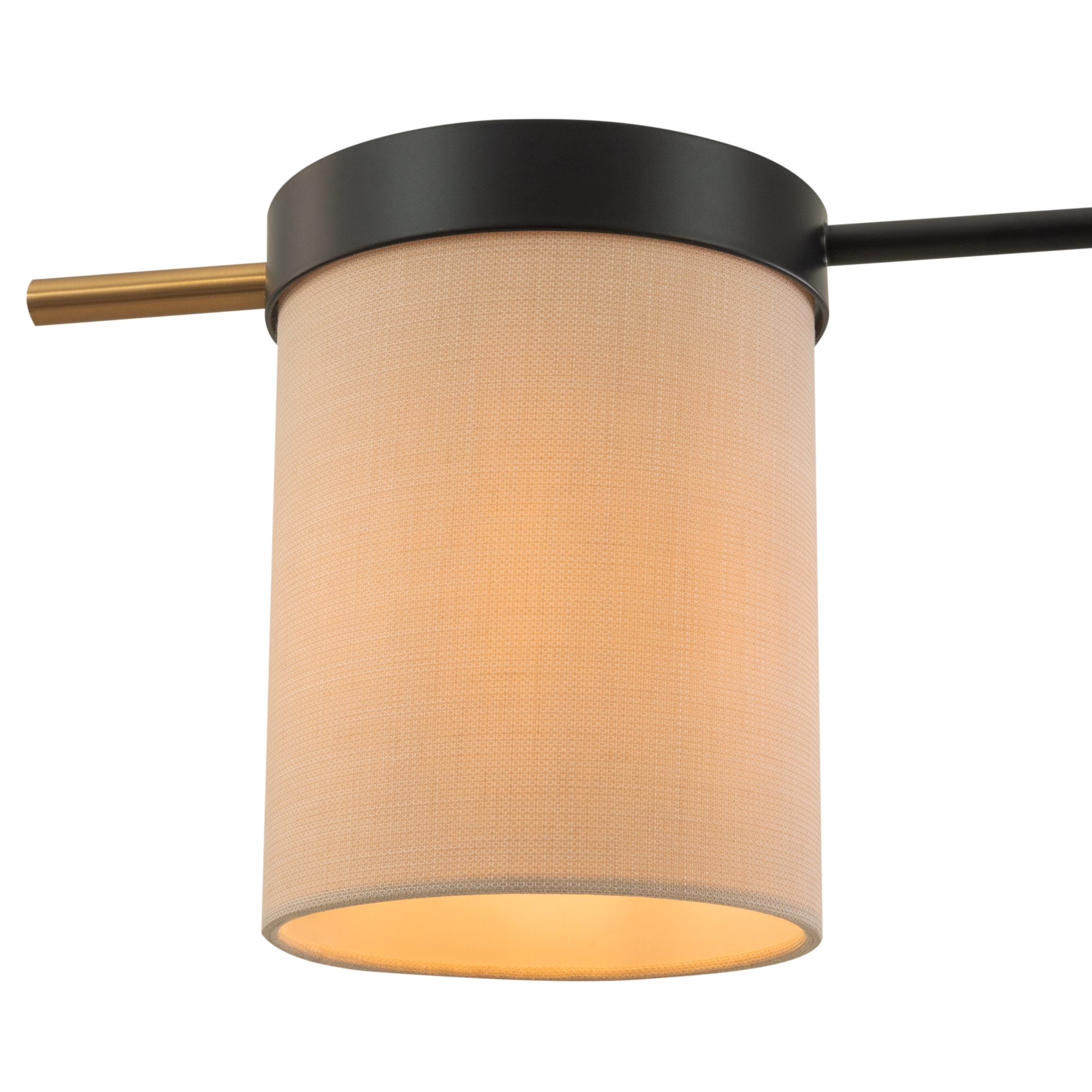 Дополнительная картинка Потолочный светильник Freya FR5377CL-04B