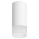 Дополнительная картинка R43631 Светильник RULLO HP16 (214436+202431)