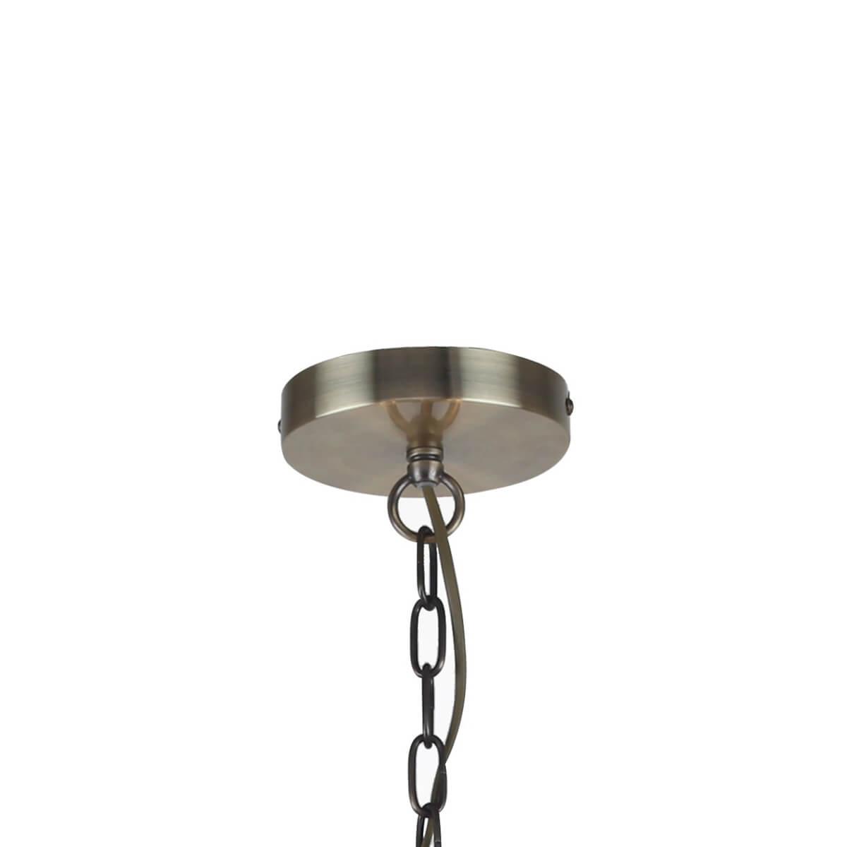 Картинка Подвесная люстра Favourite Castellum 2769-12P