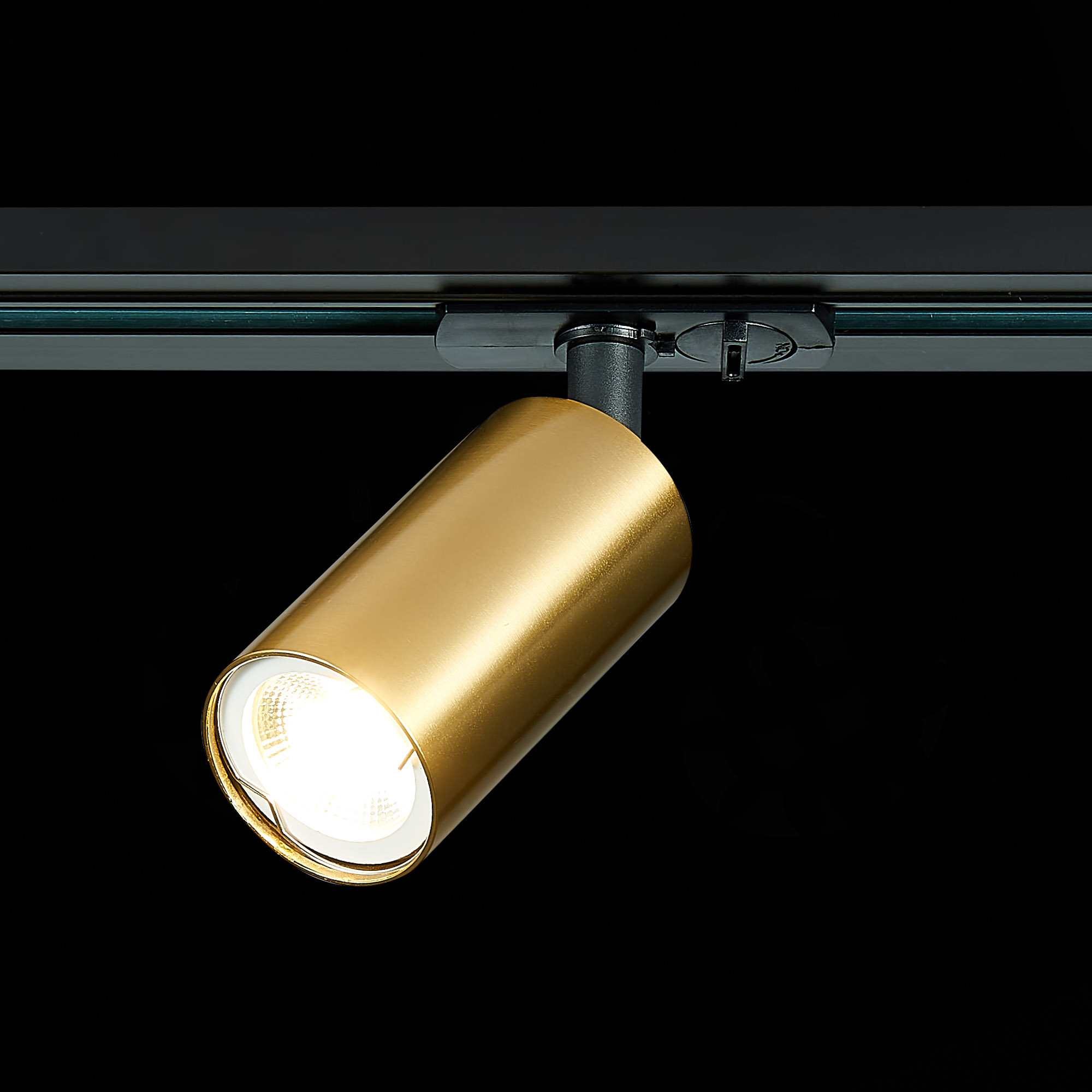 Картинка Трековый светильник ST Luce ST300.206.01