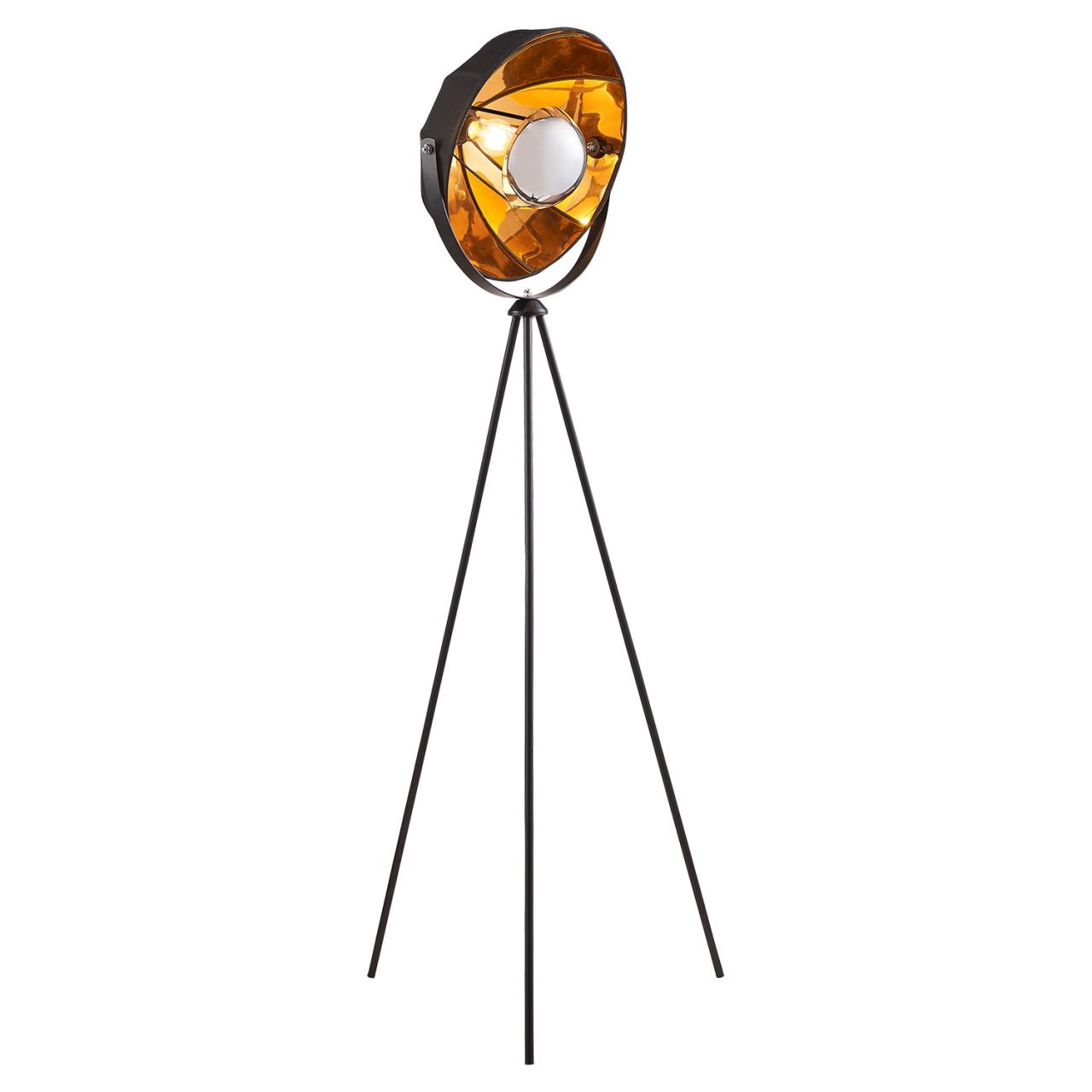 Картинка Торшер Lussole Lgo Klamath LSP-0556