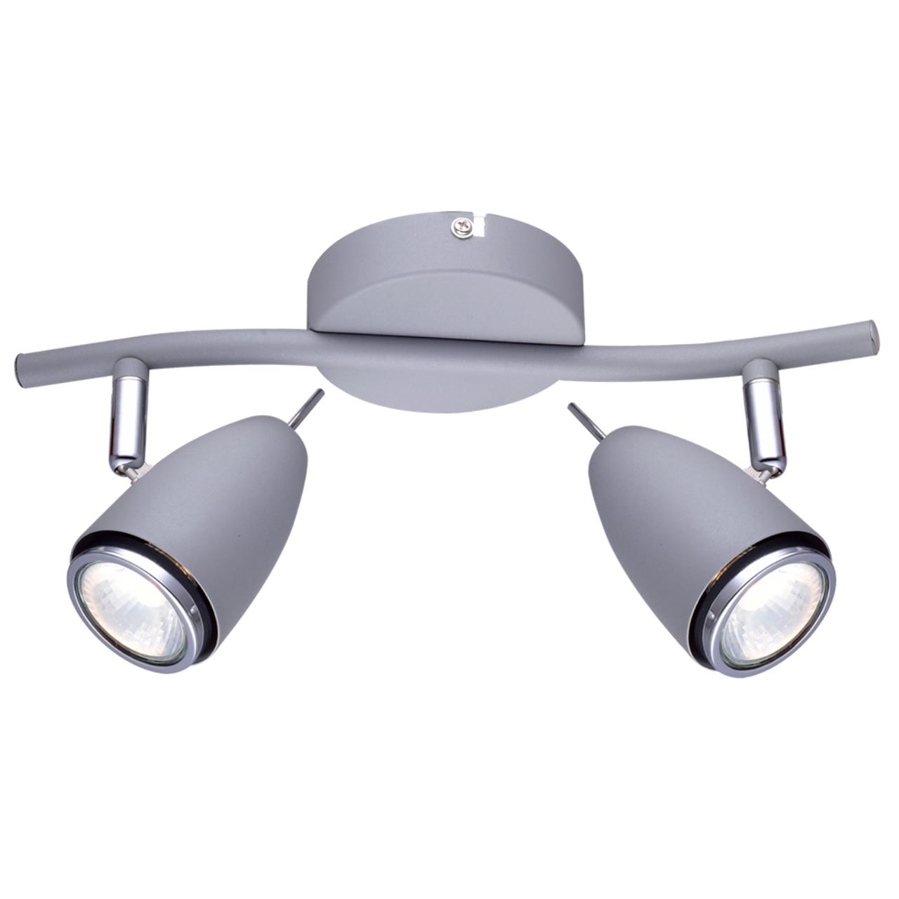 Дополнительная картинка Настенно-потолочный светильник Arte Lamp Regista A1966AP-2GY