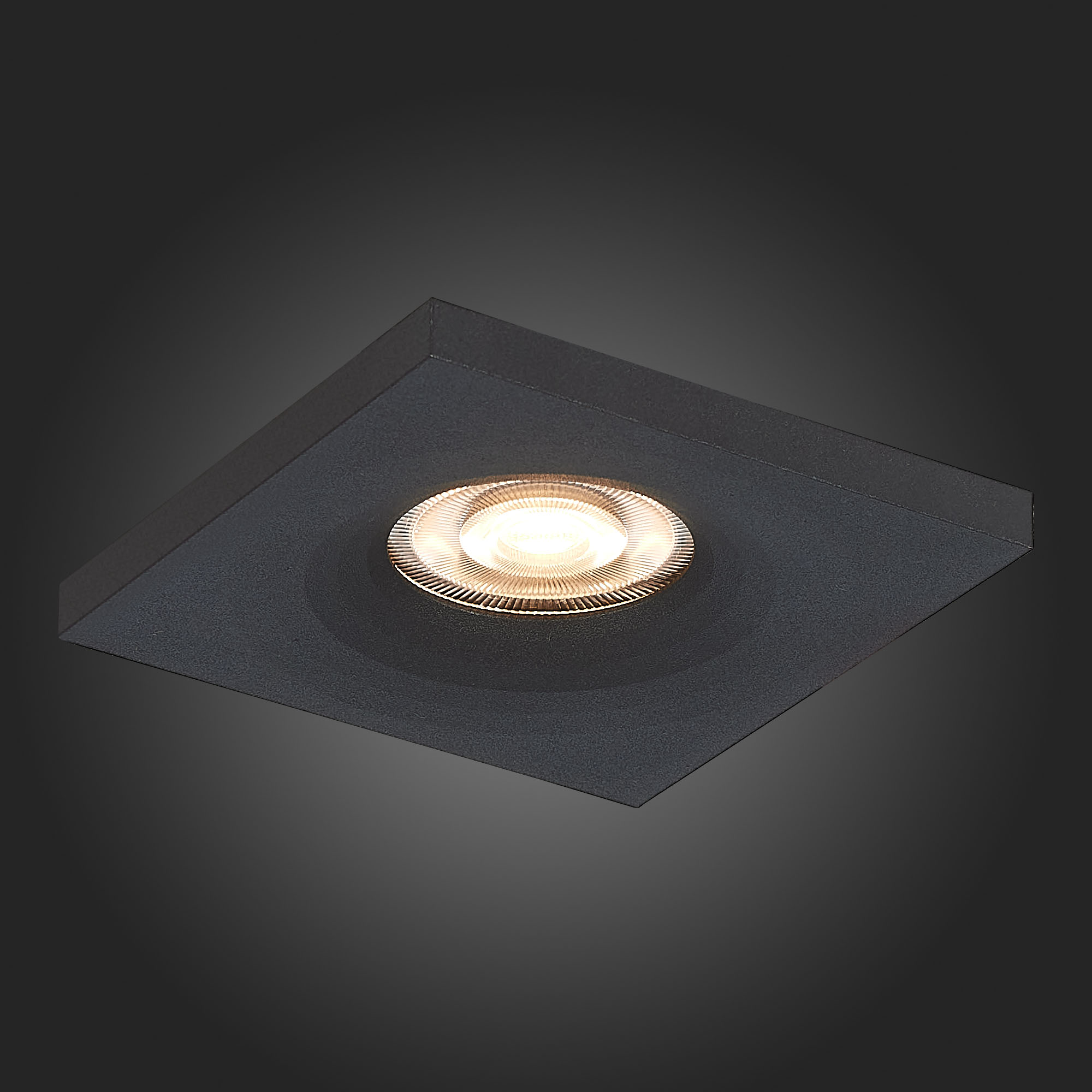 Дополнительная картинка Встраиваемый светильник ST Luce ST205.418.01