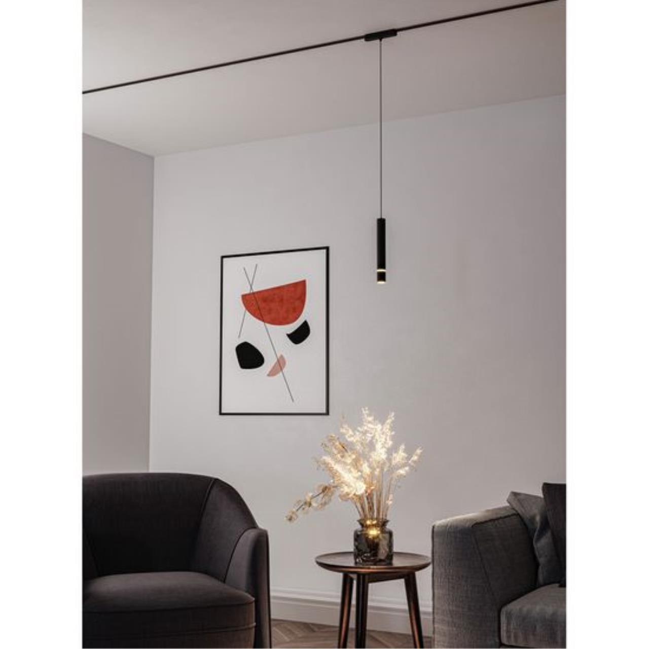 Дополнительная картинка Подвесной светильник Arte Lamp RAPID A6159PL-1BK