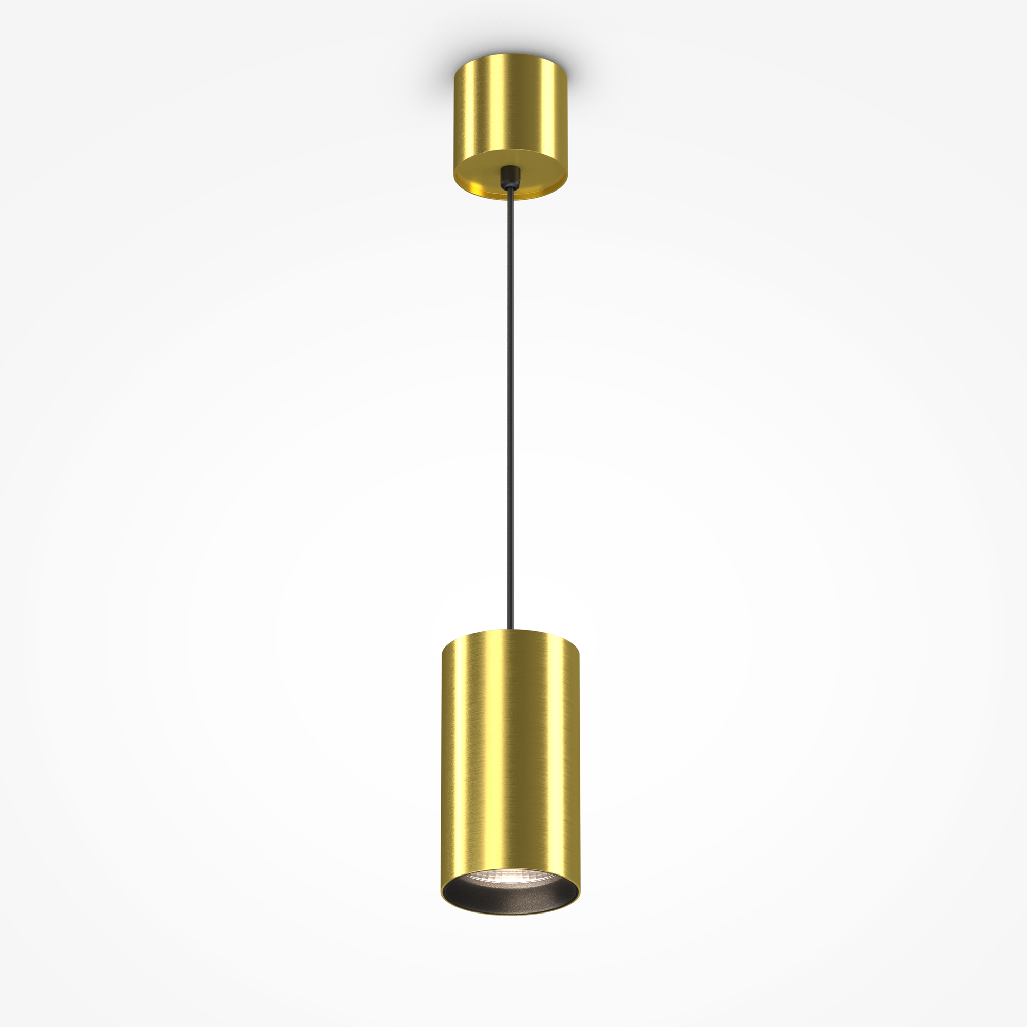 Дополнительная картинка Подвесной светильник Technical P100PL-20W4K-BS