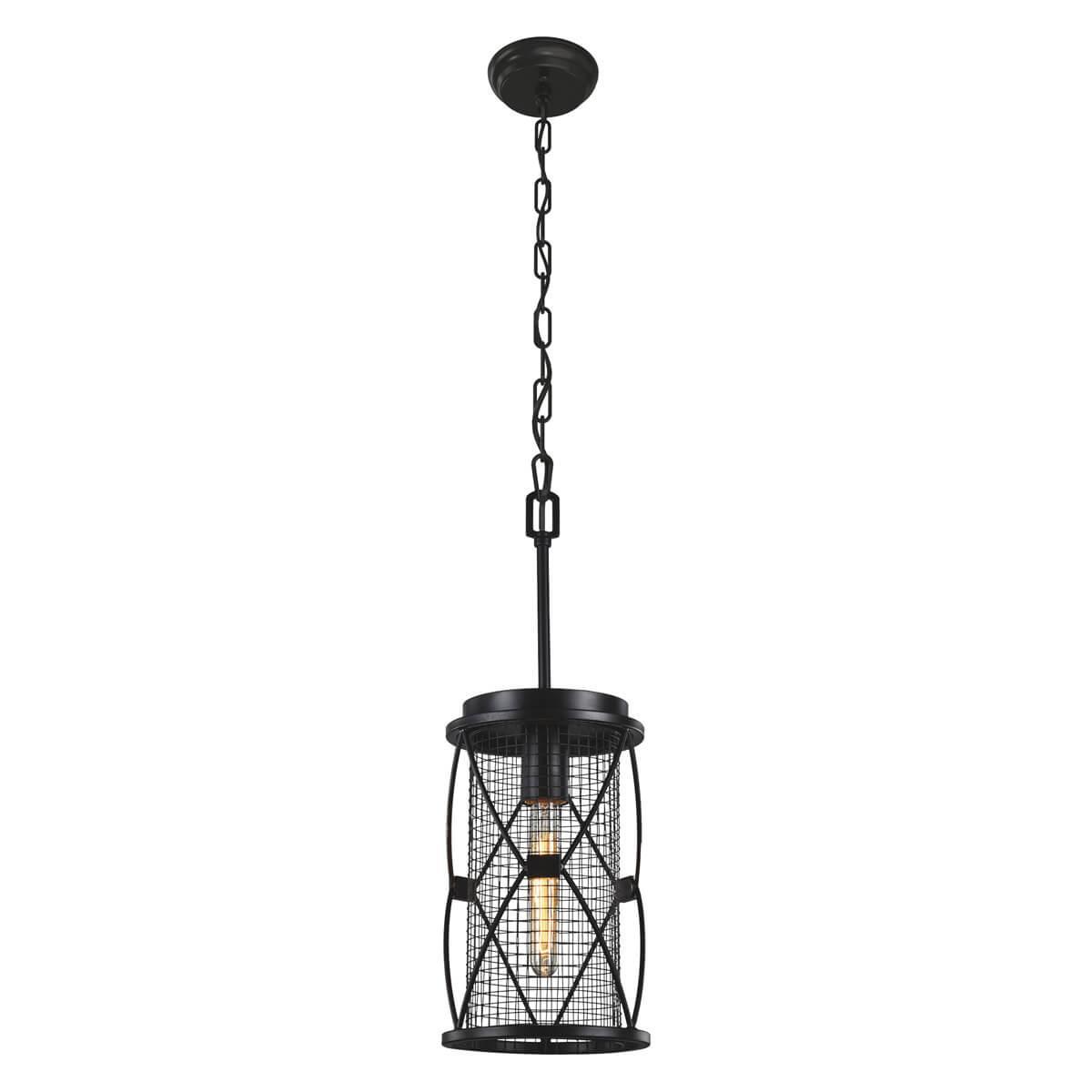 Дополнительная картинка Подвесной светильник Favourite Mesh 1783-1P