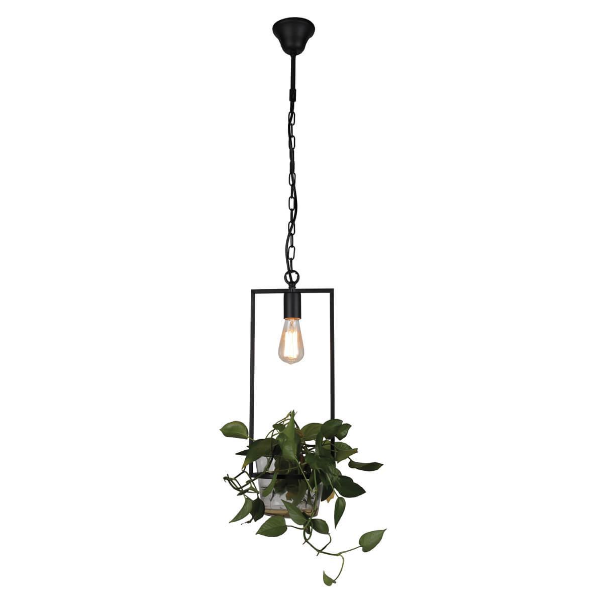 Картинка Подвесной светильник Favourite Situla 1975-1P