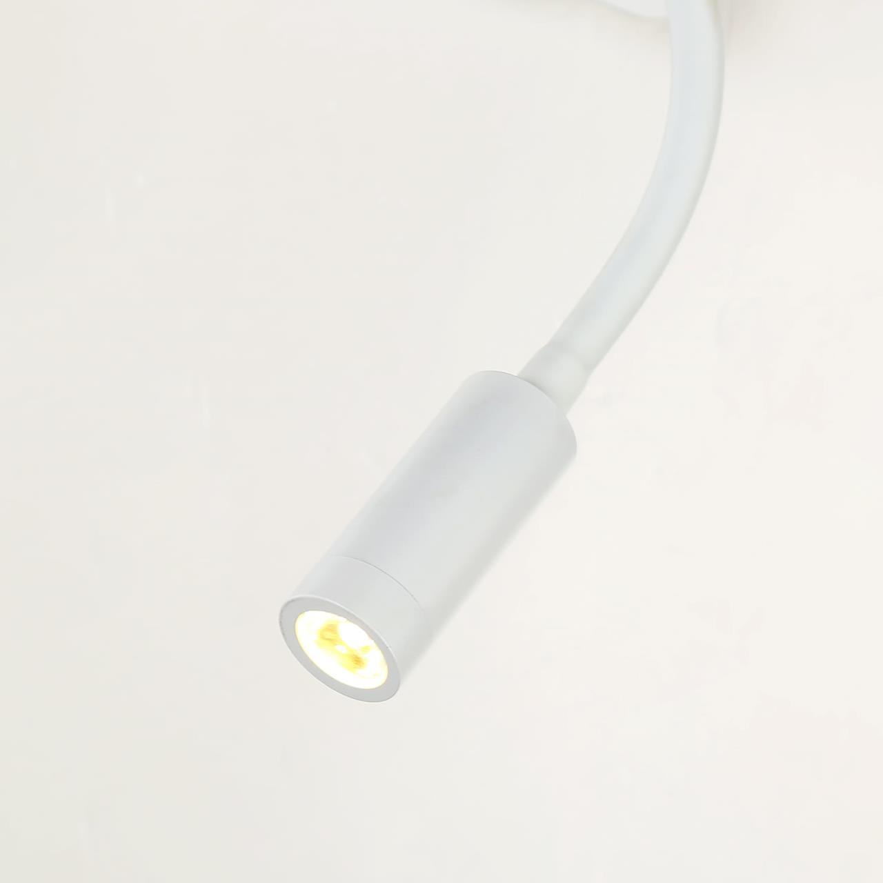 Картинка Бра Favourite Liga 2895-1W