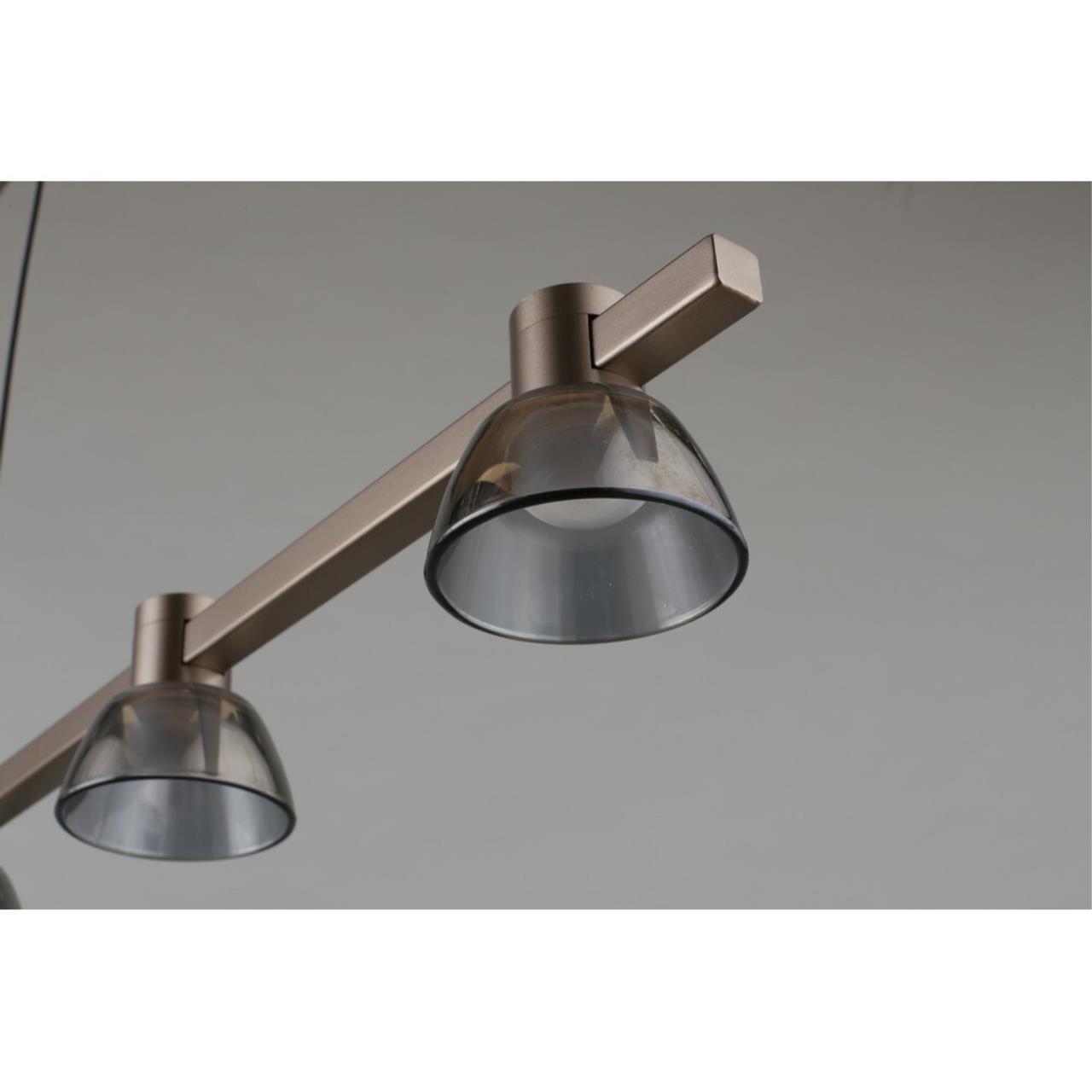 Картинка APL.788.03.06 Светильник подвесной Aployt Rezeda