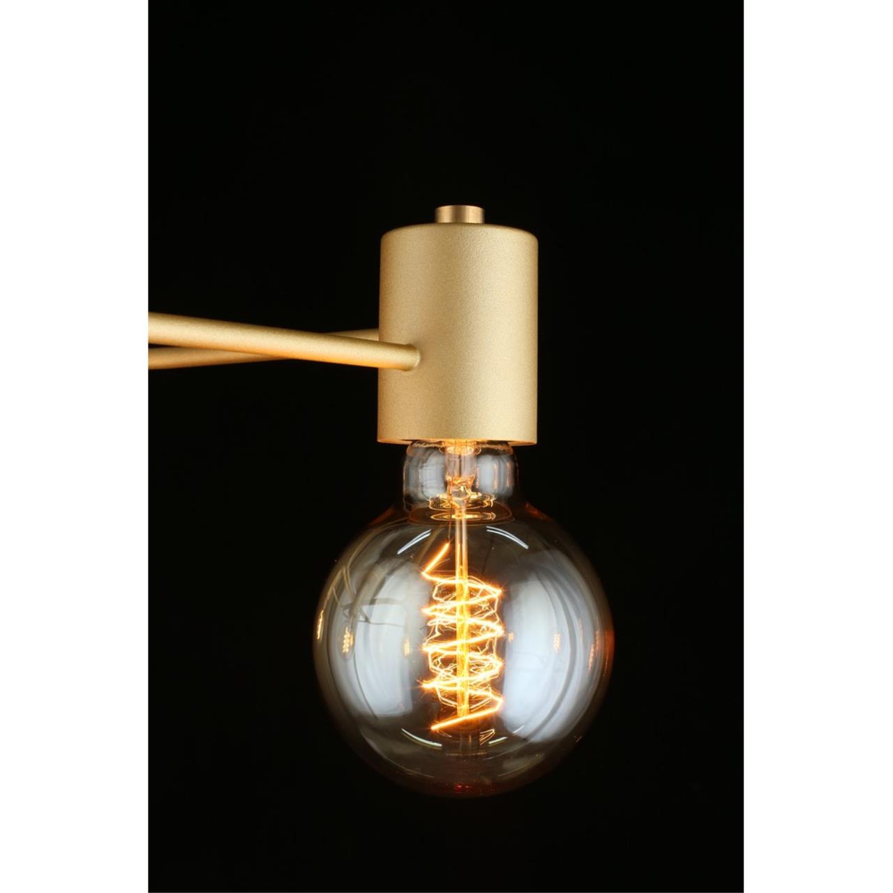 Картинка Потолочная люстра Aployt Elison APL.911.07.05