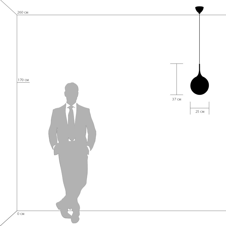 Картинка Подвесной светильник Lightstar Globo 813032