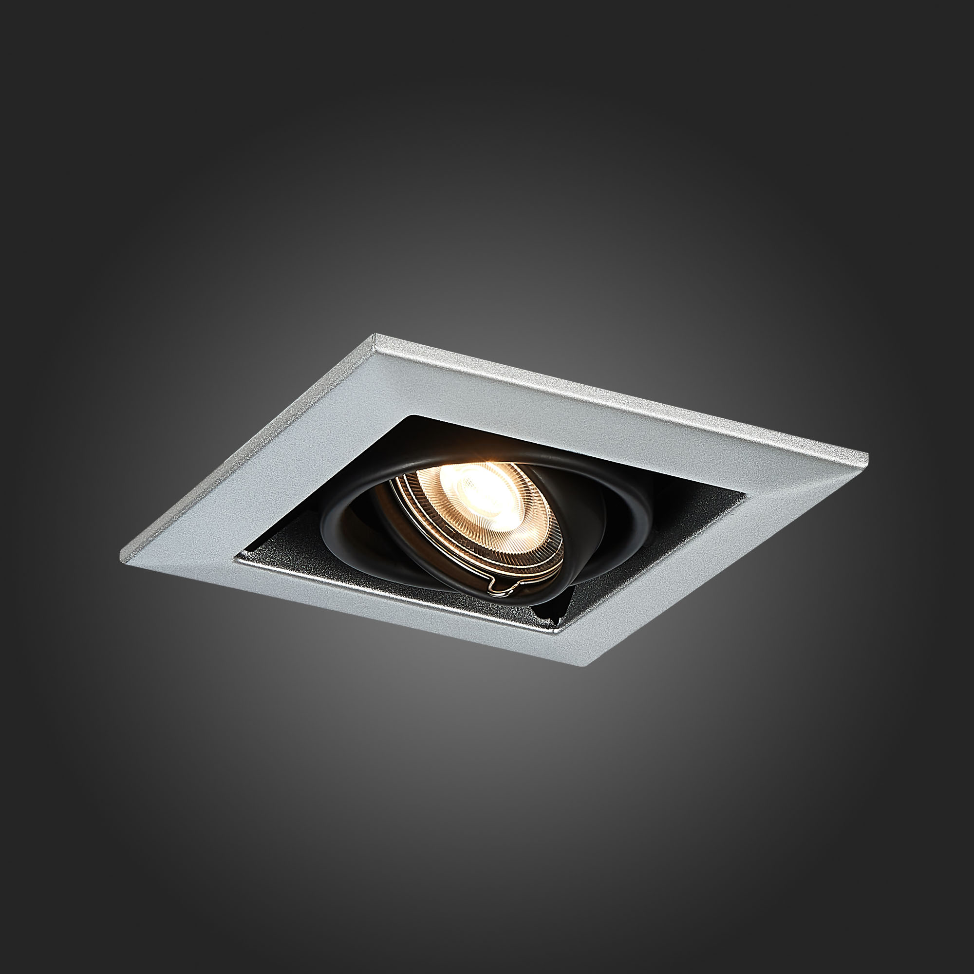 Дополнительная картинка Встраиваемый светильник ST Luce ST250.148.01