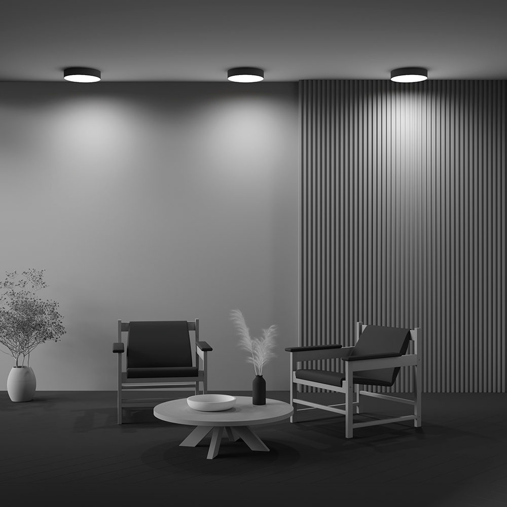 Дополнительная картинка Потолочный светильник Technical C032CL-36W3K-RD-B