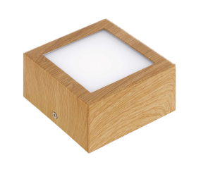 Дополнительная картинка Спот COLEGIO  LED/1*4.2W