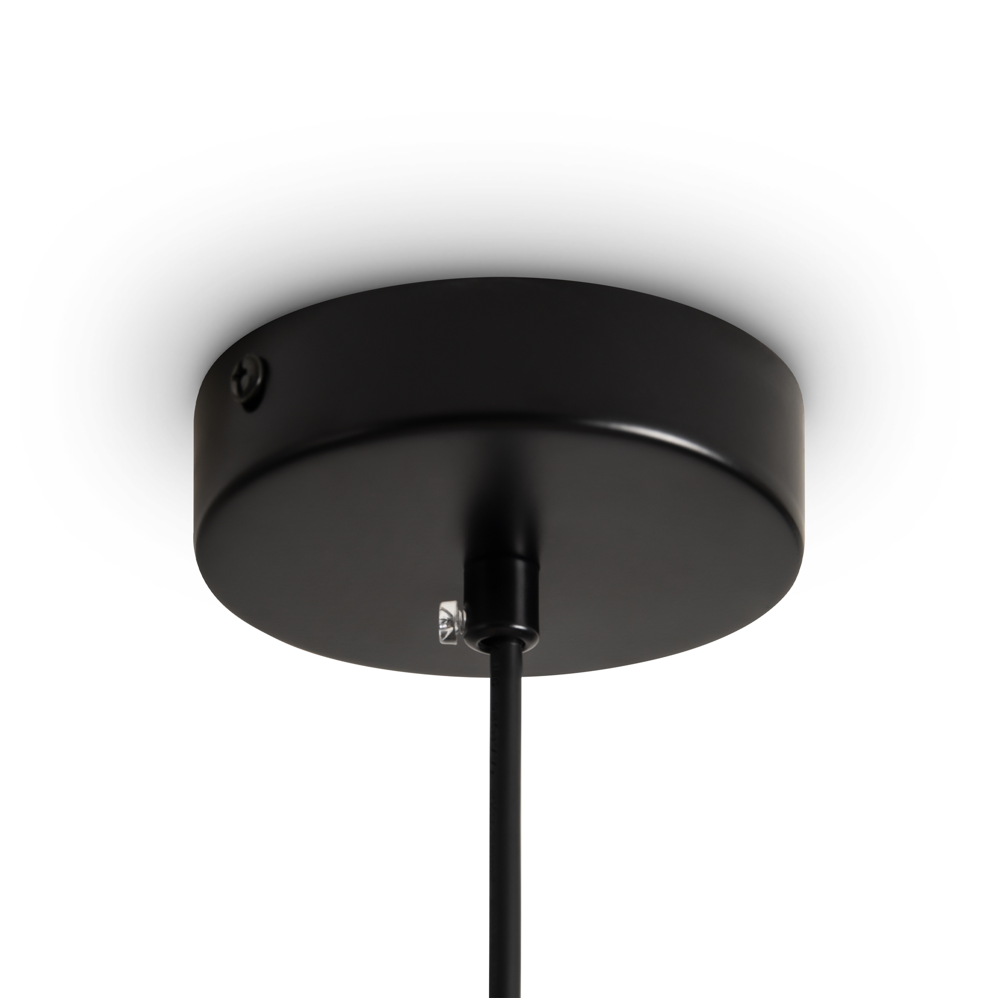 Дополнительная картинка Подвесной светильник Freya FR5492PL-01B