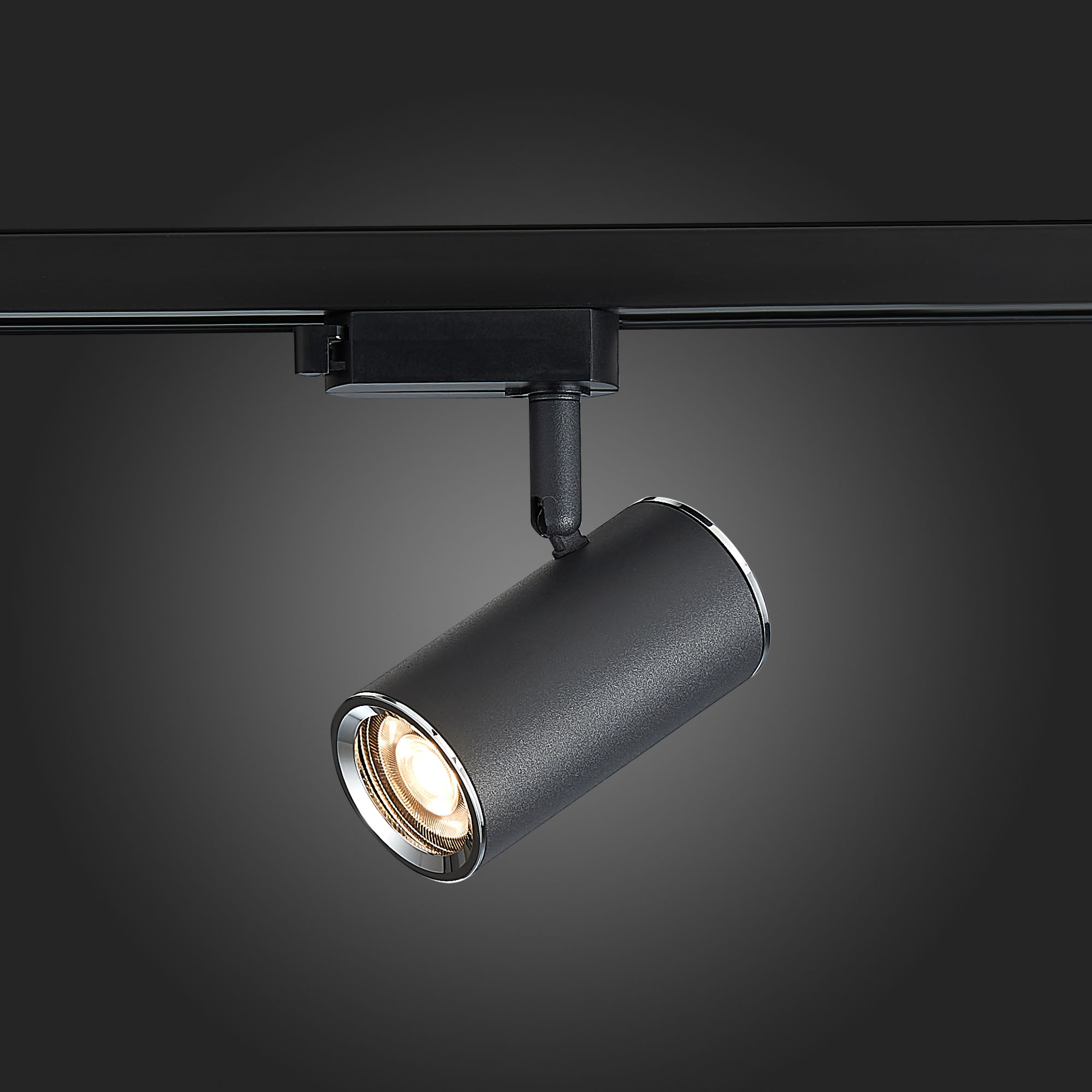 Картинка Трековый светильник ST Luce ST301.406.01