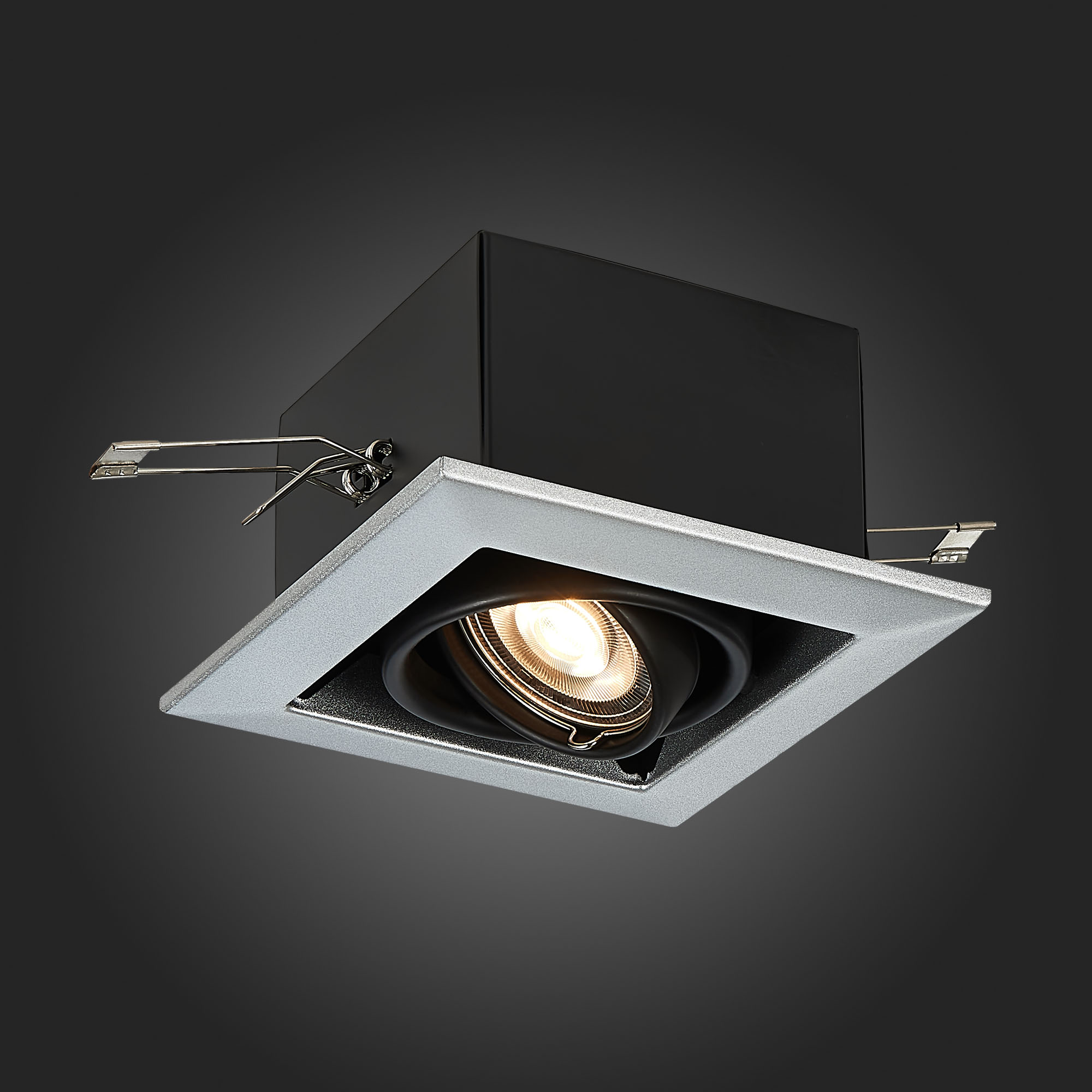 Дополнительная картинка Встраиваемый светильник ST Luce ST250.148.01