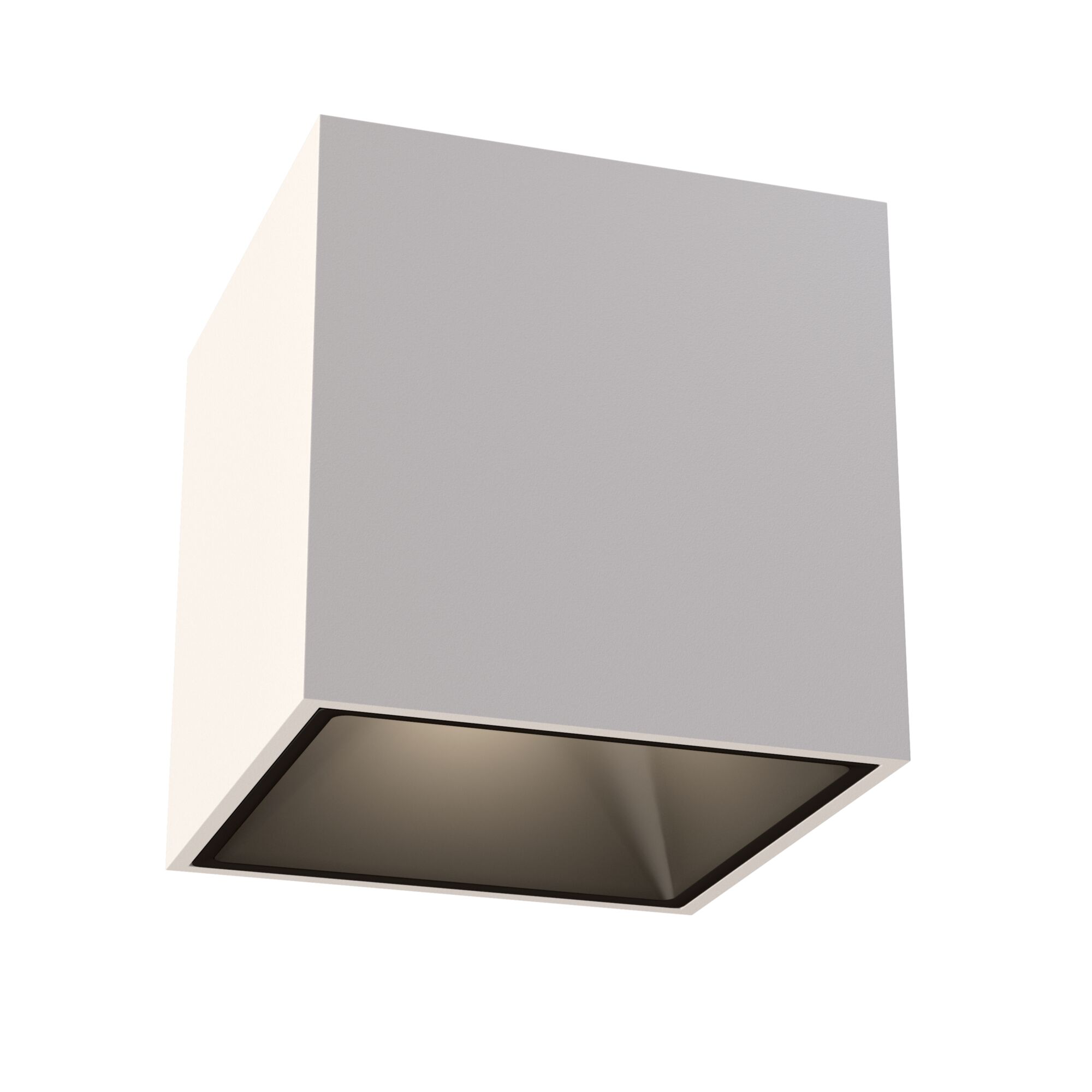 Дополнительная картинка Потолочный светильник Technical C065CL-L12W4K