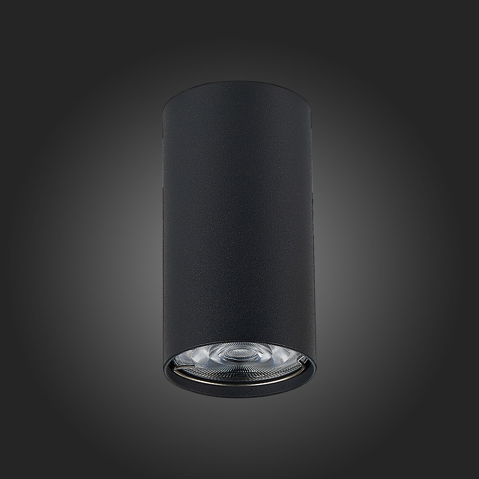 Дополнительная картинка Потолочный светильник ST Luce ST110.407.01