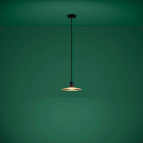 Дополнительная картинка Подвесной светильник Eglo MAYAZES 39911