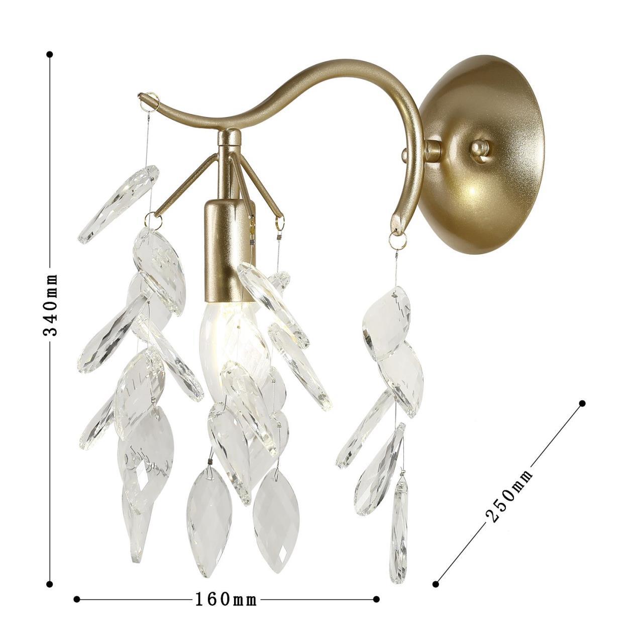 Дополнительная картинка Настенный светильник Brillo 3003-1W