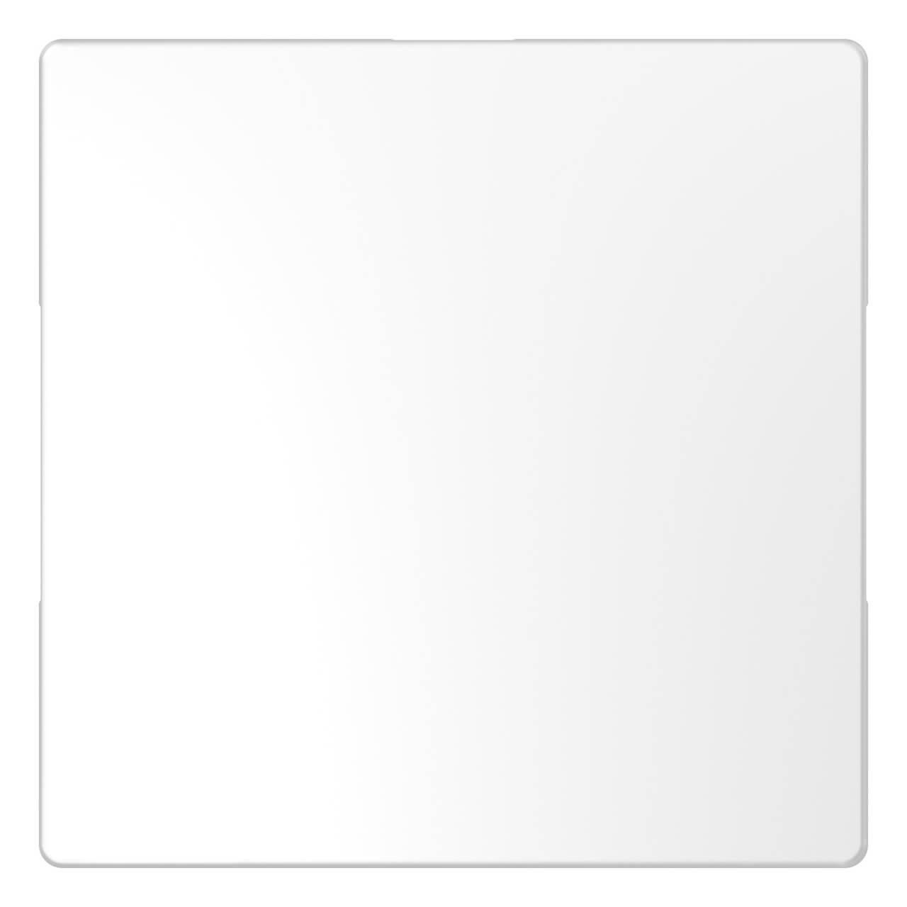 Заглушка Schneider Electric Merten D-Life MTN4075-6035