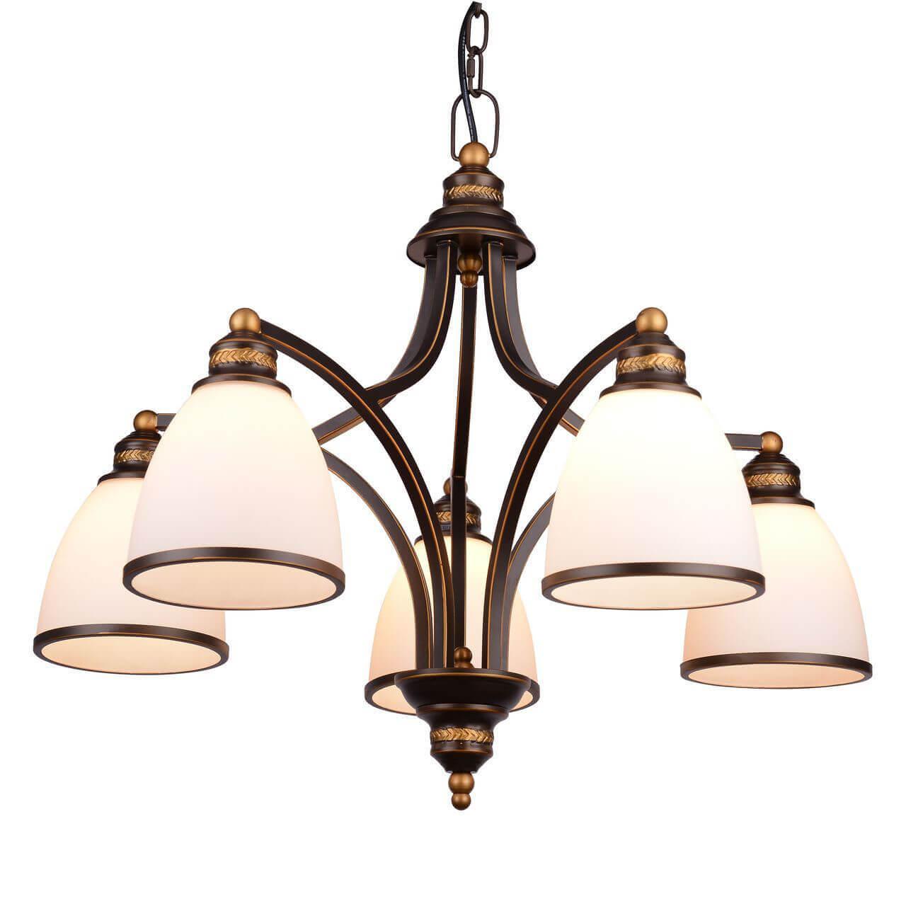 Дополнительная картинка Подвесная люстра Arte Lamp Bonito A9518LM-5BA