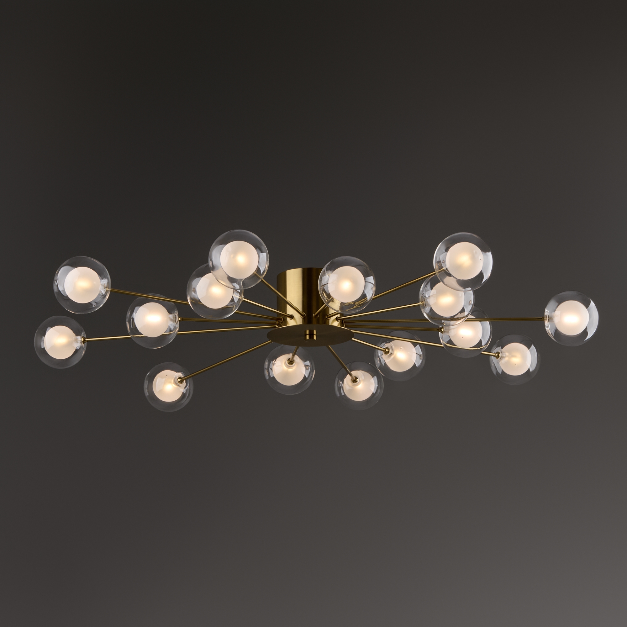 Дополнительная картинка Потолочная люстра Freya FR5242CL-16BS1