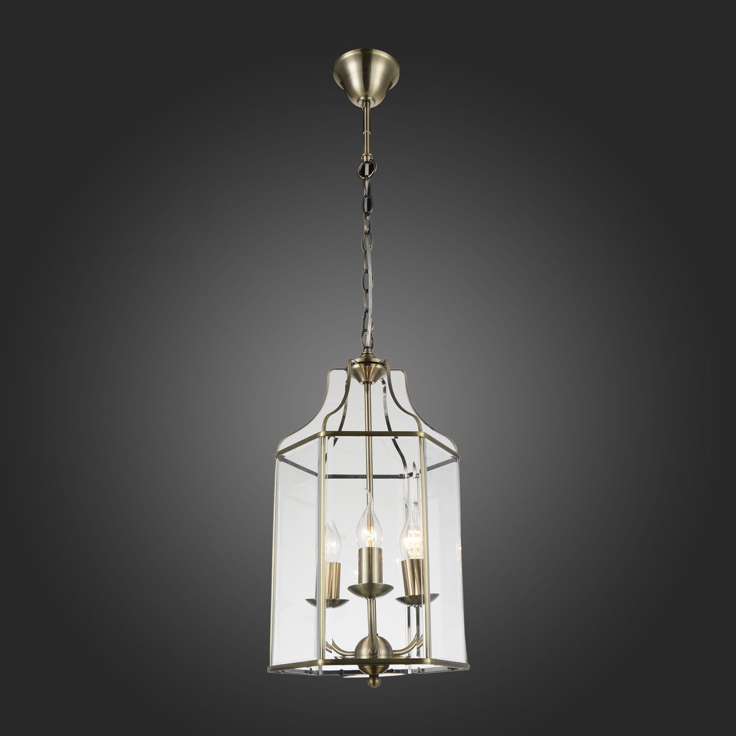 Дополнительная картинка Подвесная люстра ST Luce SL228.303.03
