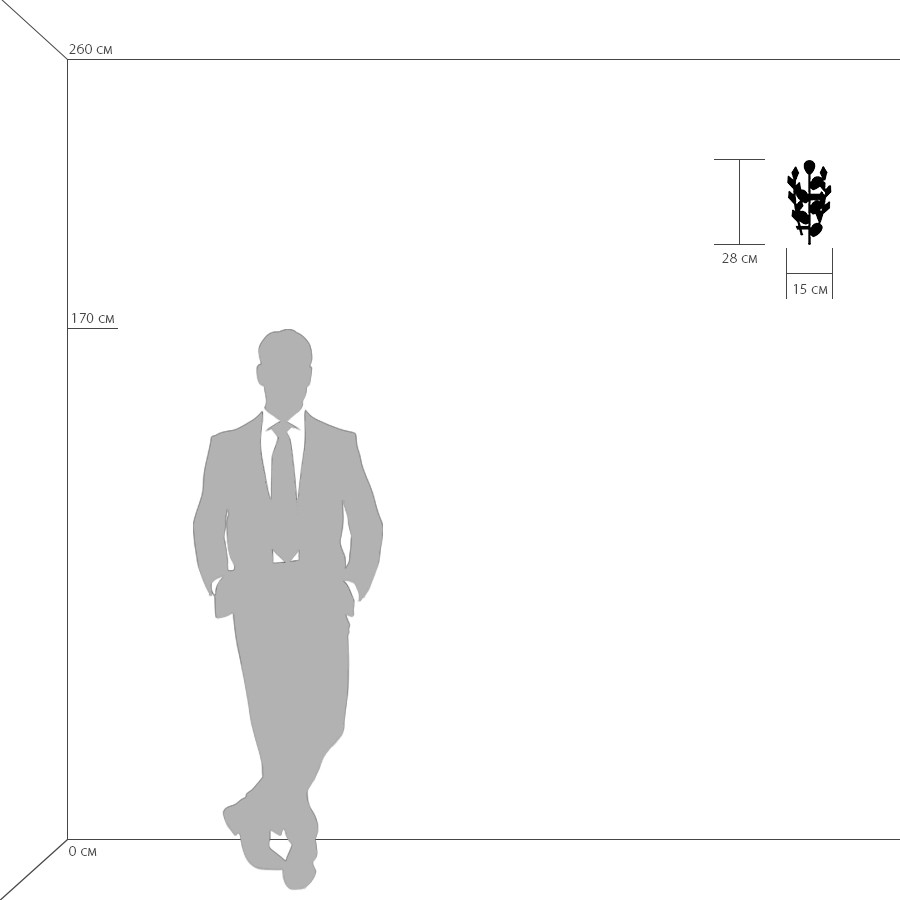 Картинка Бра Lightstar Isabelle 791614