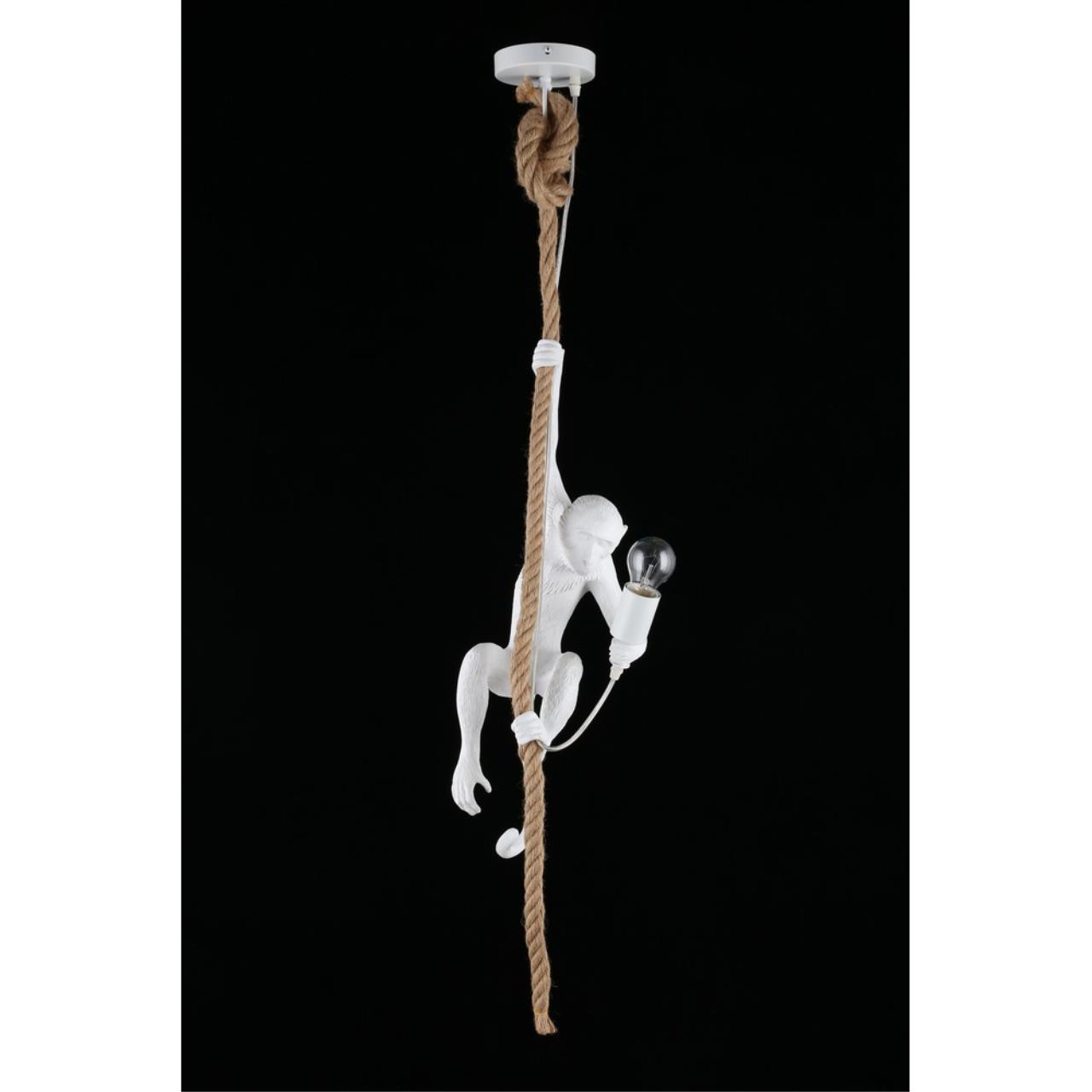 Картинка Подвесной светильник Aployt Magali APL.309.06.01