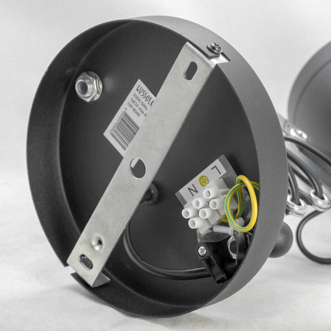 Дополнительная картинка Спот Lussole Loft Koyukuk LSP-8049