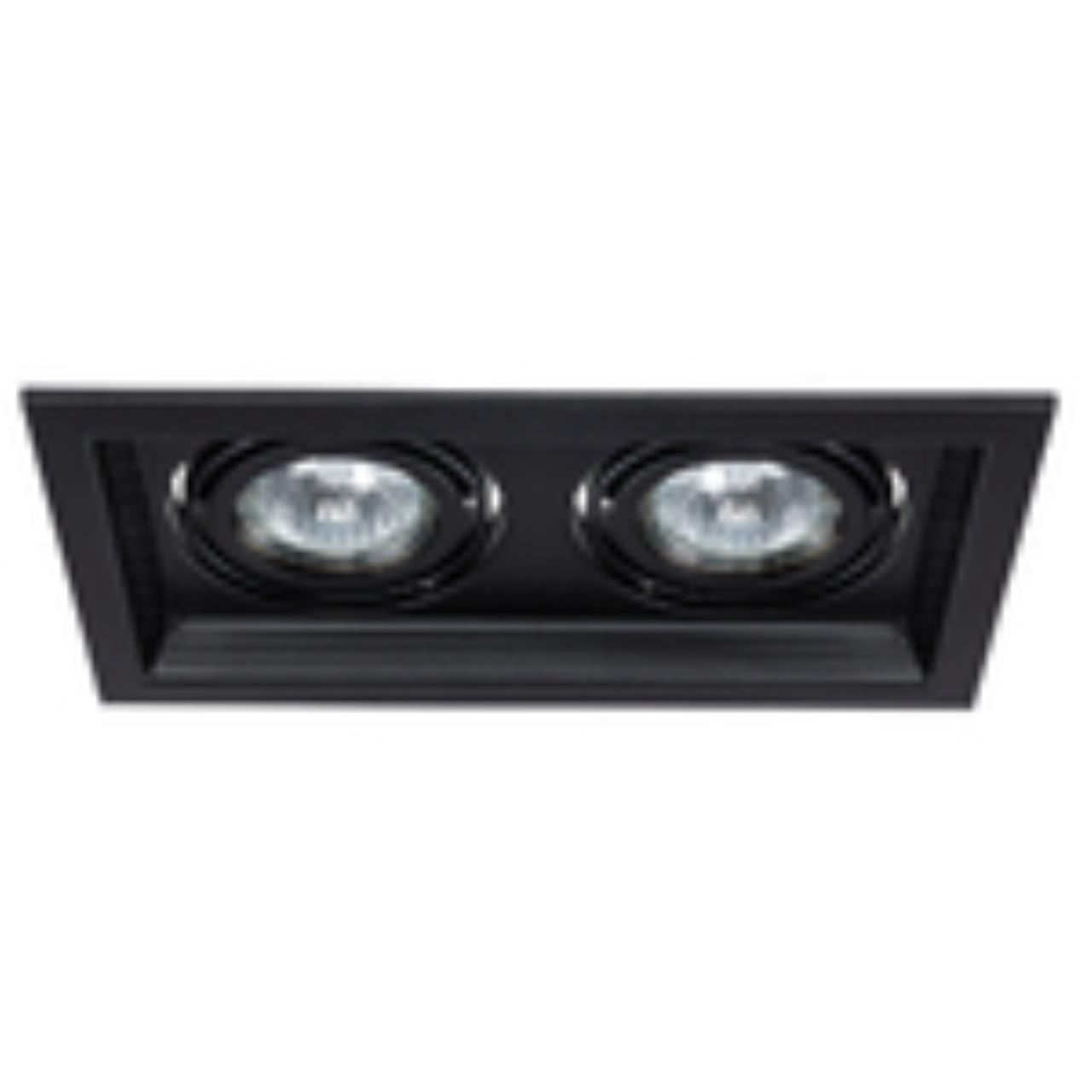 Дополнительная картинка Встраиваемый светильник Arte Lamp Canis A6661PL-2BK