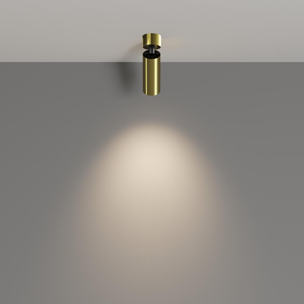 Дополнительная картинка Потолочный светильник Technical C055CL-L12W4K-W-BS