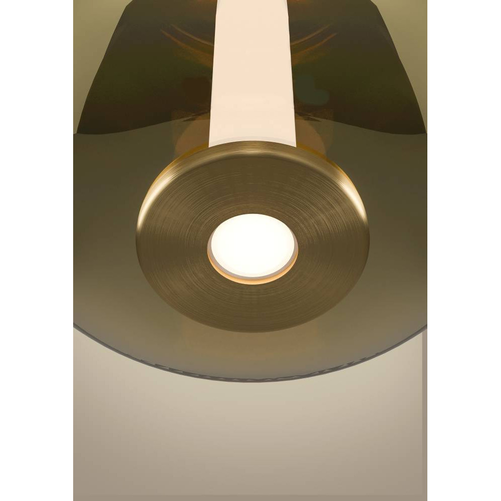 Картинка 390466 Люстра с регулировкой цветовой температуры FRUITERA