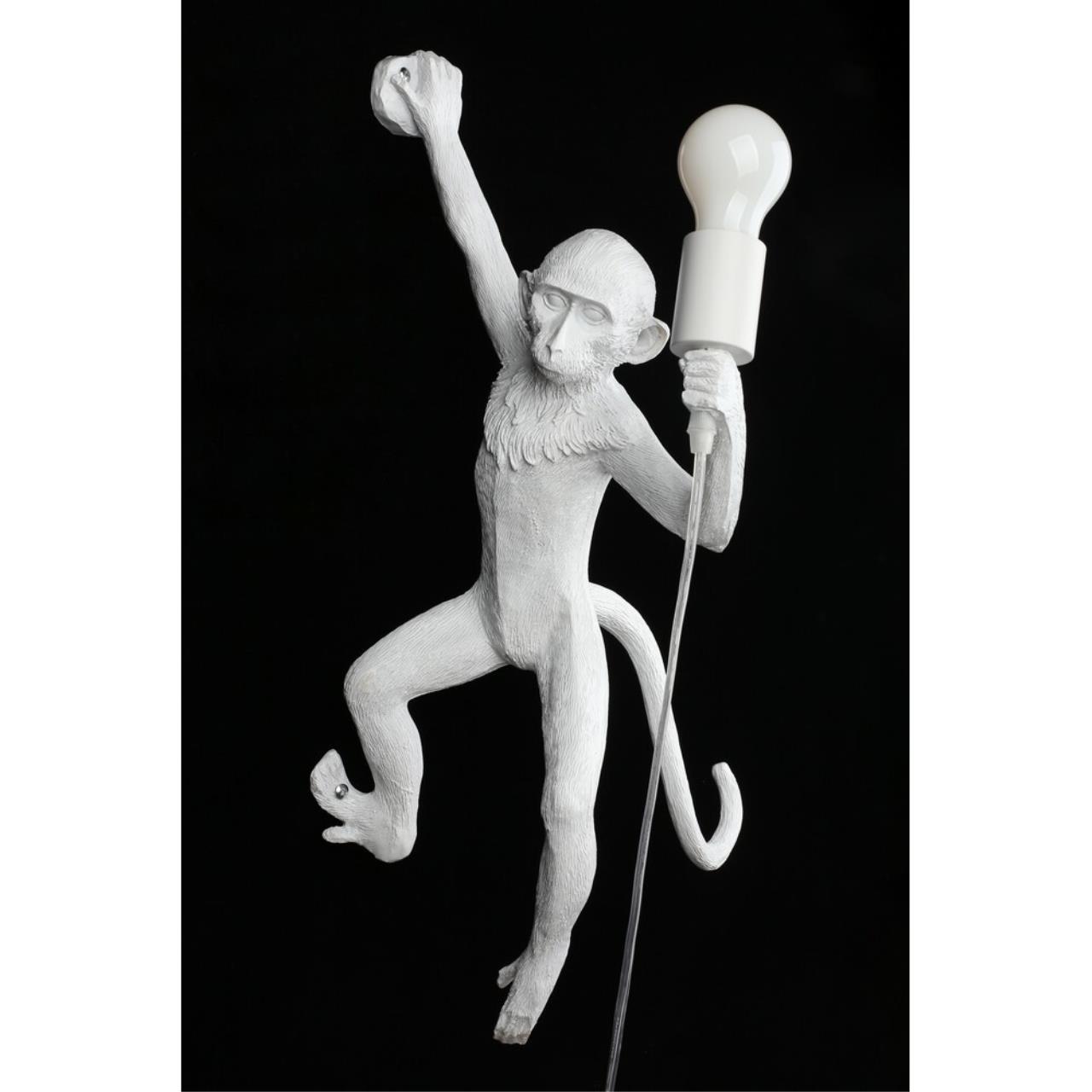 Картинка APL.309.11.01 Бра настенное Aployt Magali