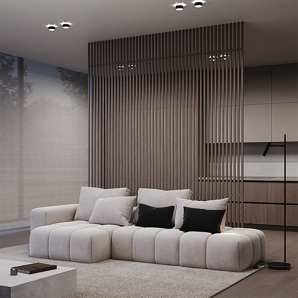 Дополнительная картинка Встраиваемый светильник Technical DL062-GU10-W