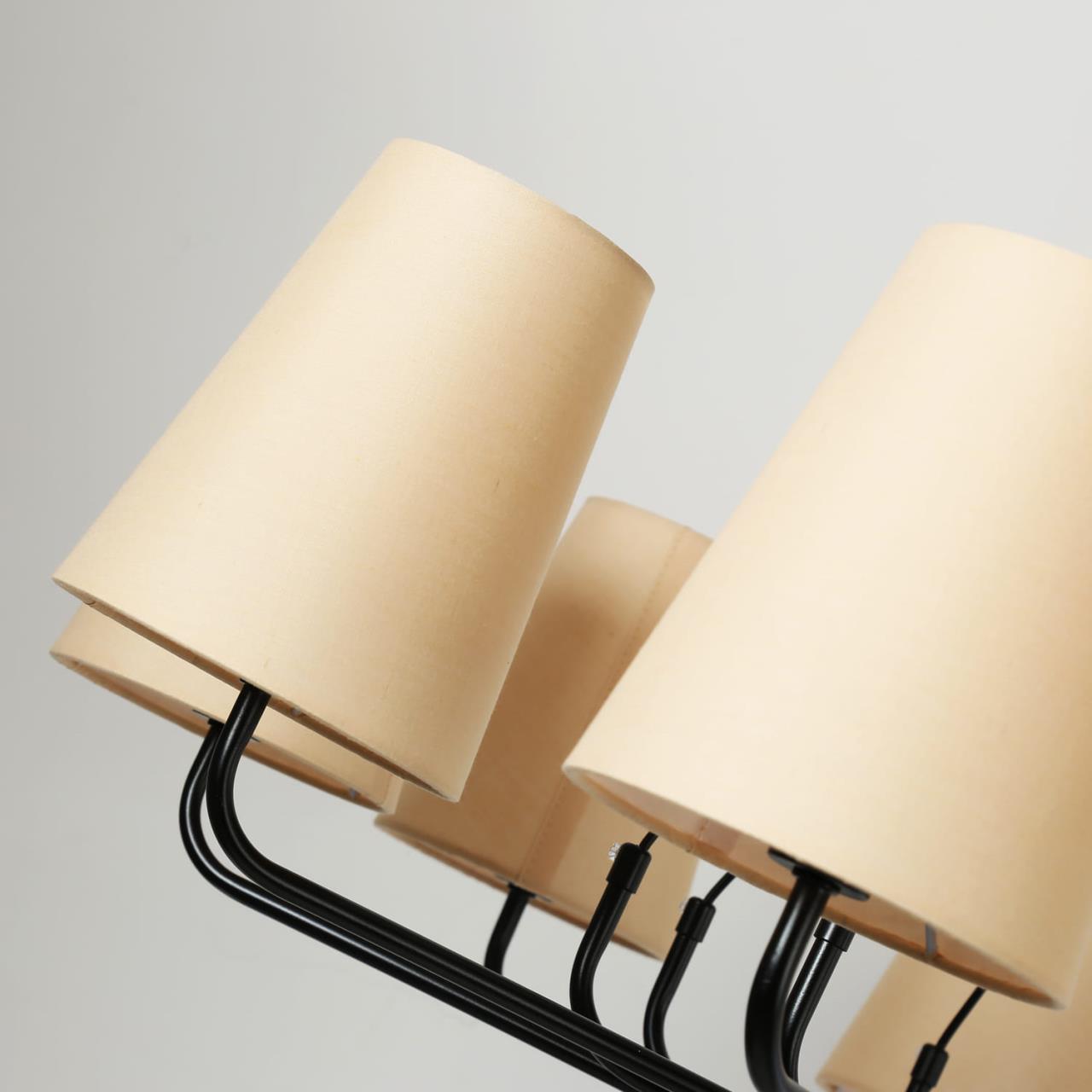 Дополнительная картинка Подвесная люстра Favourite Pfefferling 2364-10P