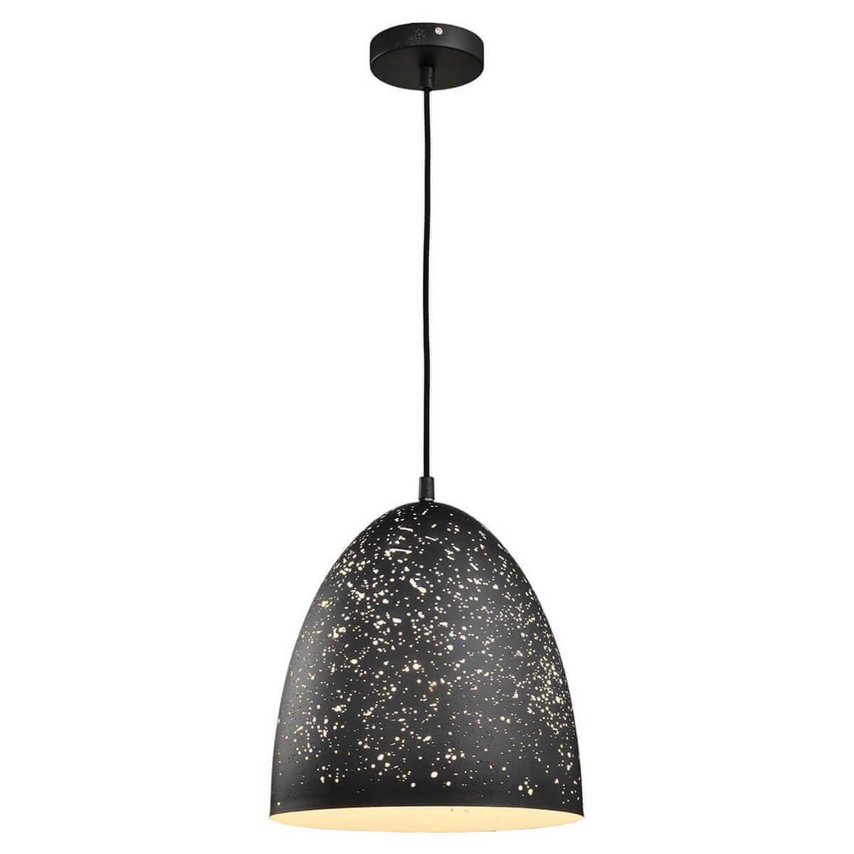 Дополнительная картинка Подвесной светильник Lussole Loft GRLSP-9892