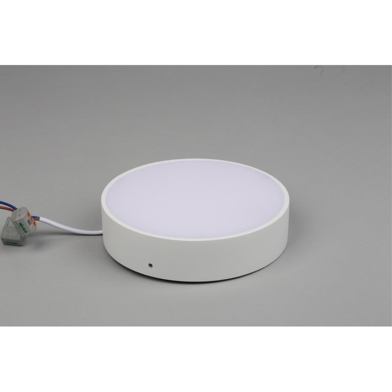 Картинка Потолочный светодиодный светильник Aployt Evon APL.0114.09.18