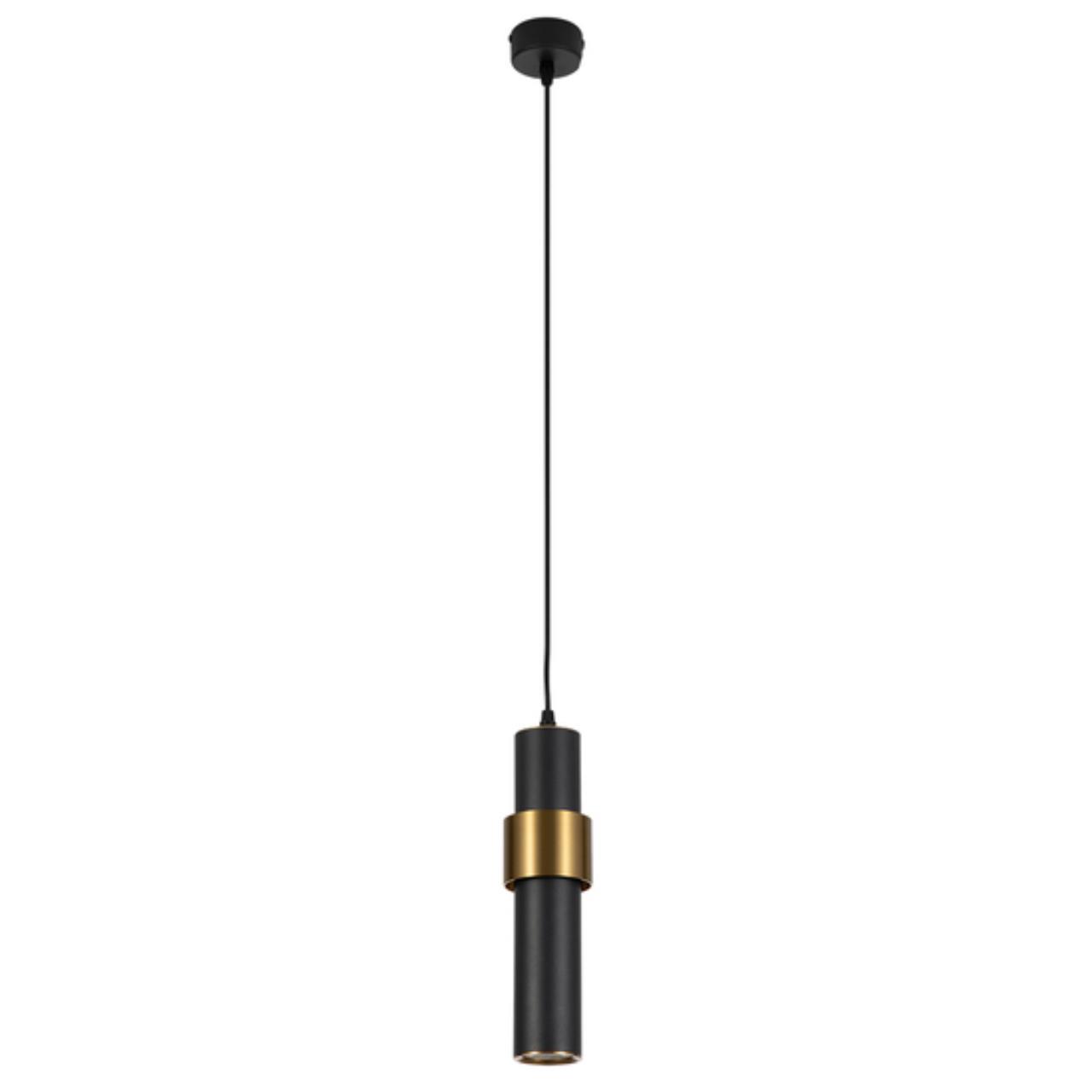 Дополнительная картинка Подвесной светильник Arte Lamp RAN A3144SP-1BK
